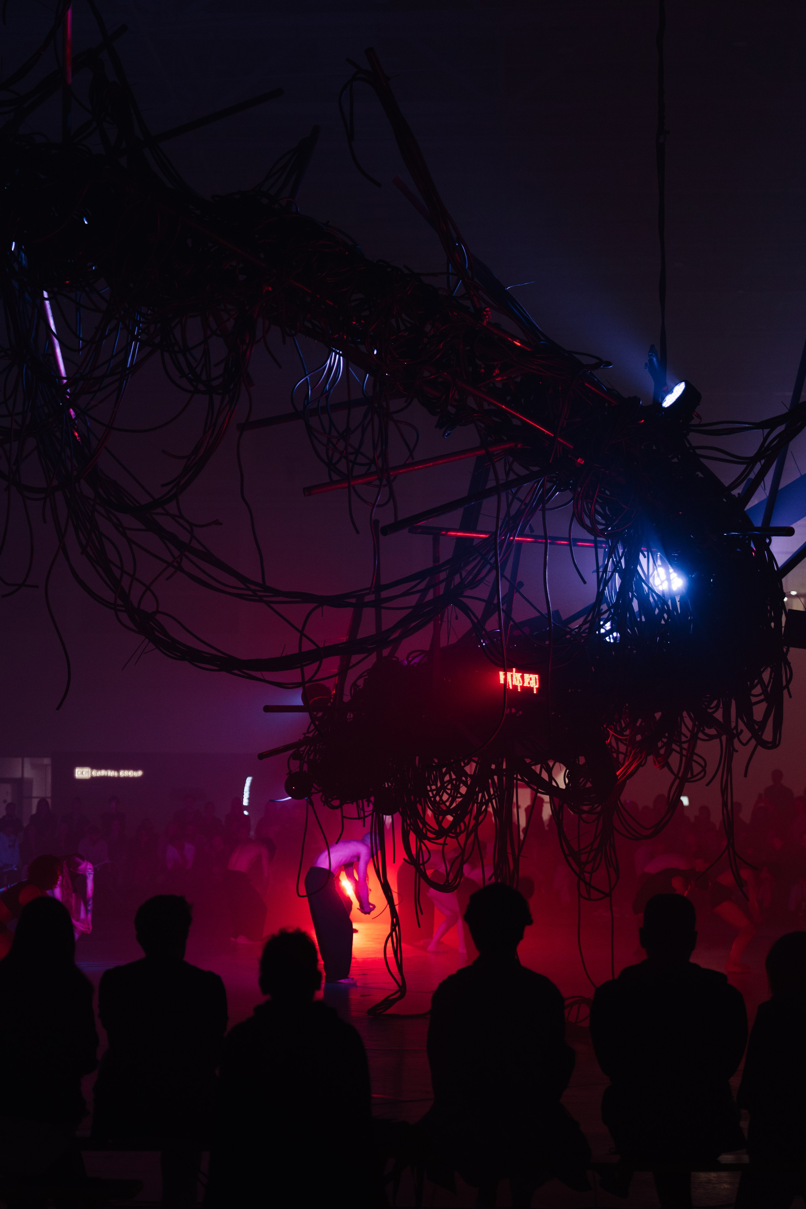 PERFORMA, The Hour of the Horse. @tomrus: Рустам Шагиморданов — фотограф