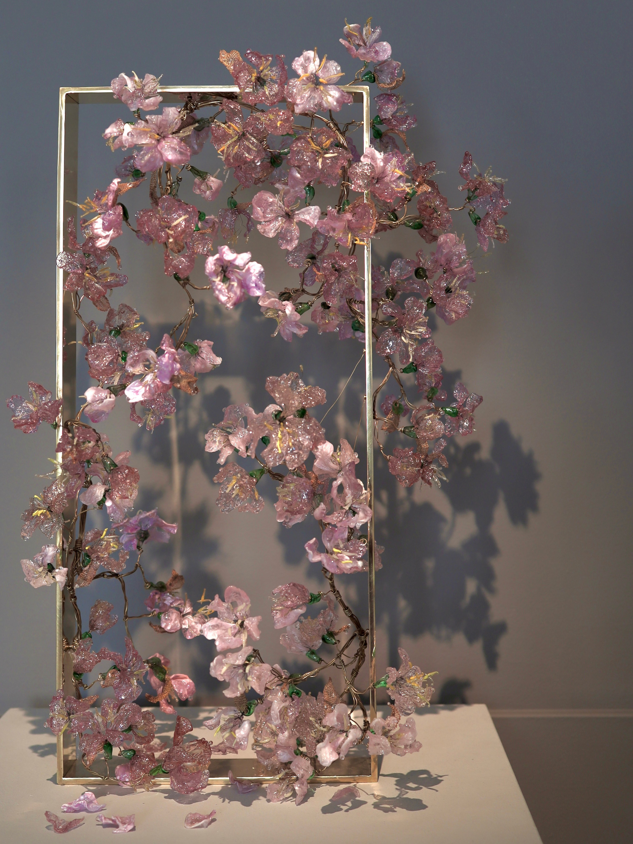 Выставка Степени прозрачности. Фотосессии и репортаж — Фотограф в Москве — Рина Серёгина