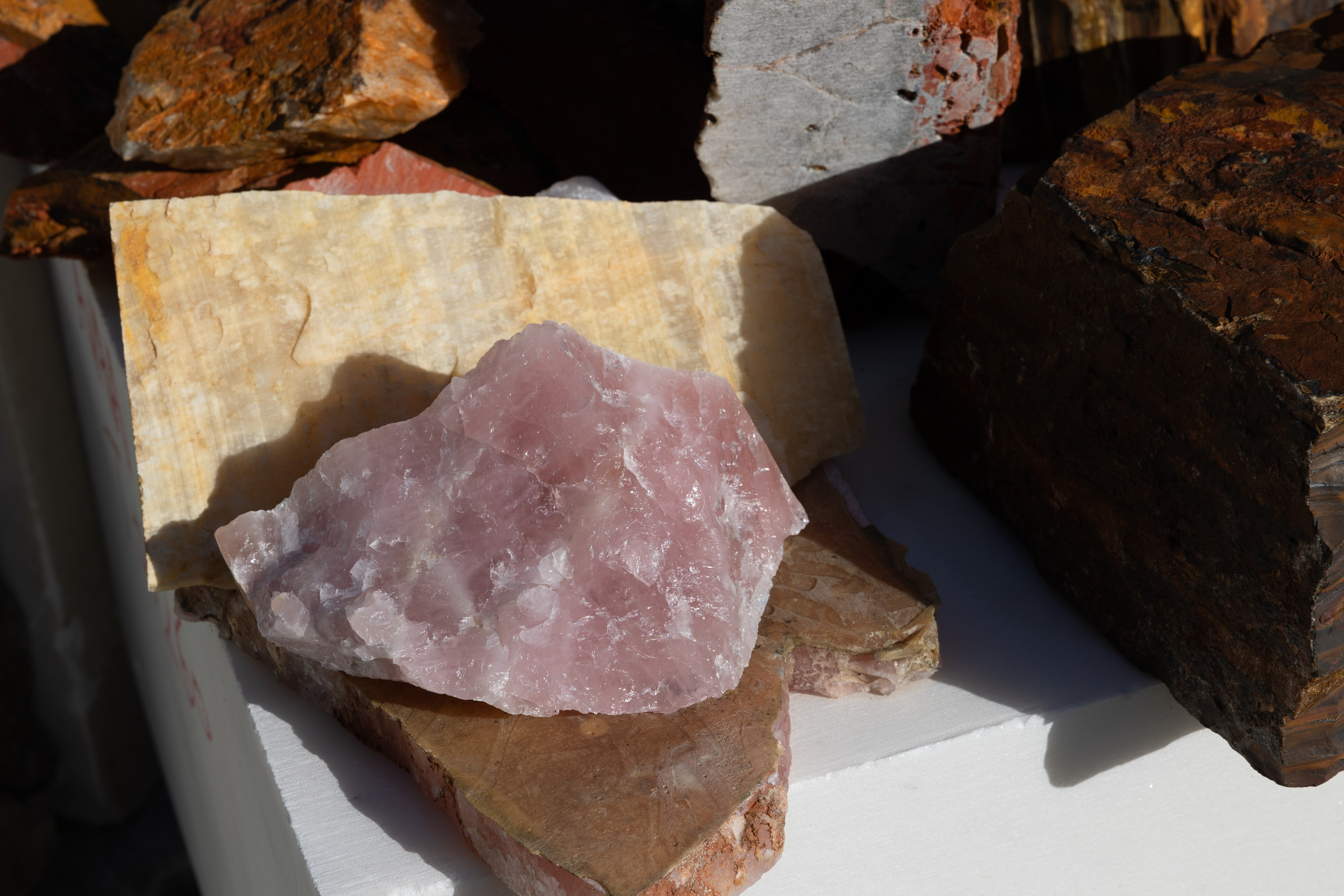 Источник | The source. Фотограф алина стерхова, алина стерхова фотограф, фотограф москва