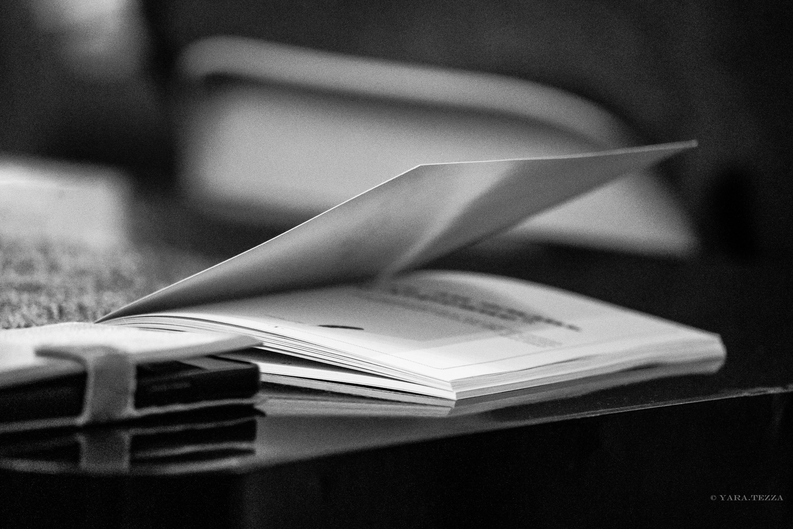 Есть ли жизнь в деревне. Презентация книги. Yaratezza production