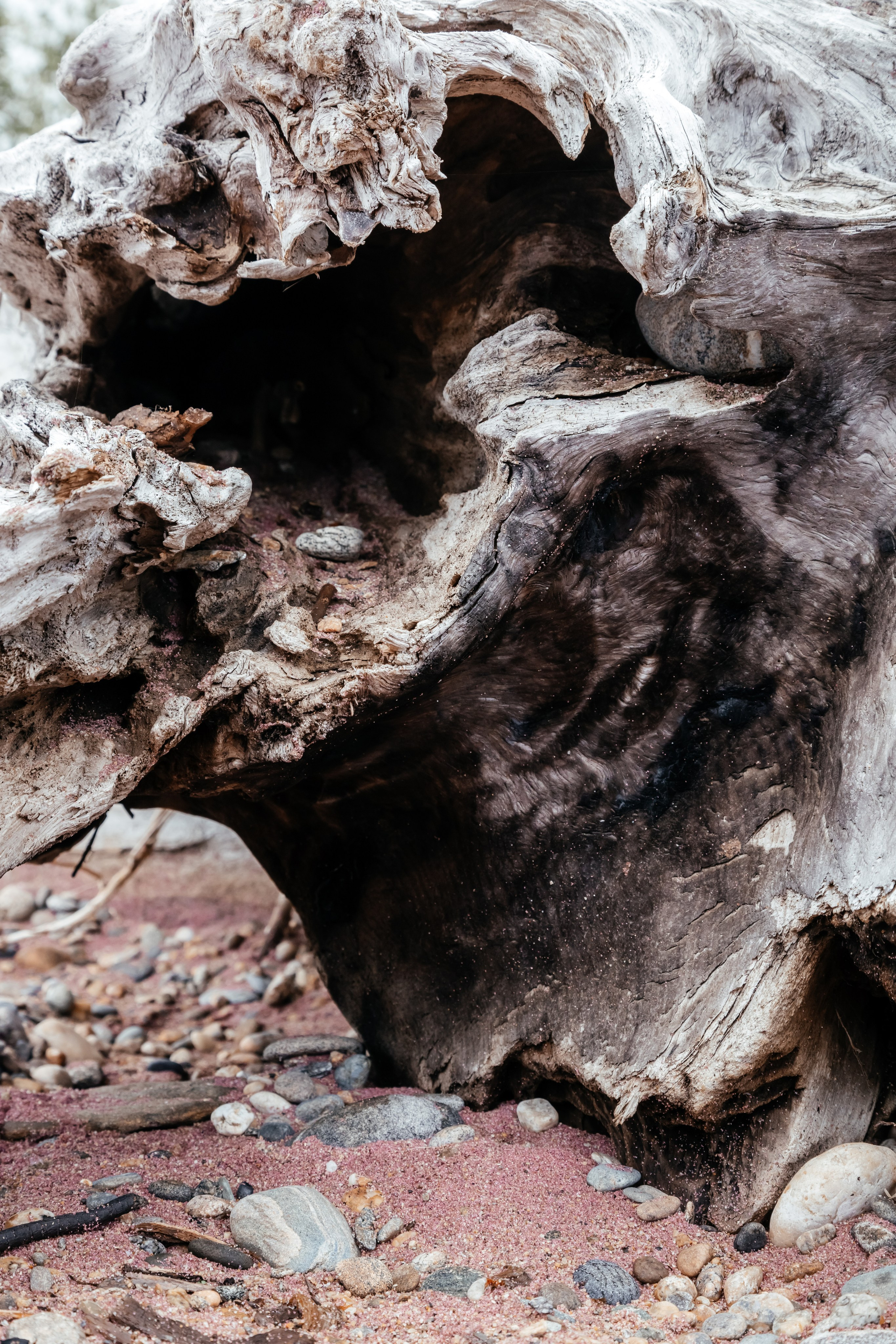 Байкал. Фотограф в Красноярске Оксана Корчагина