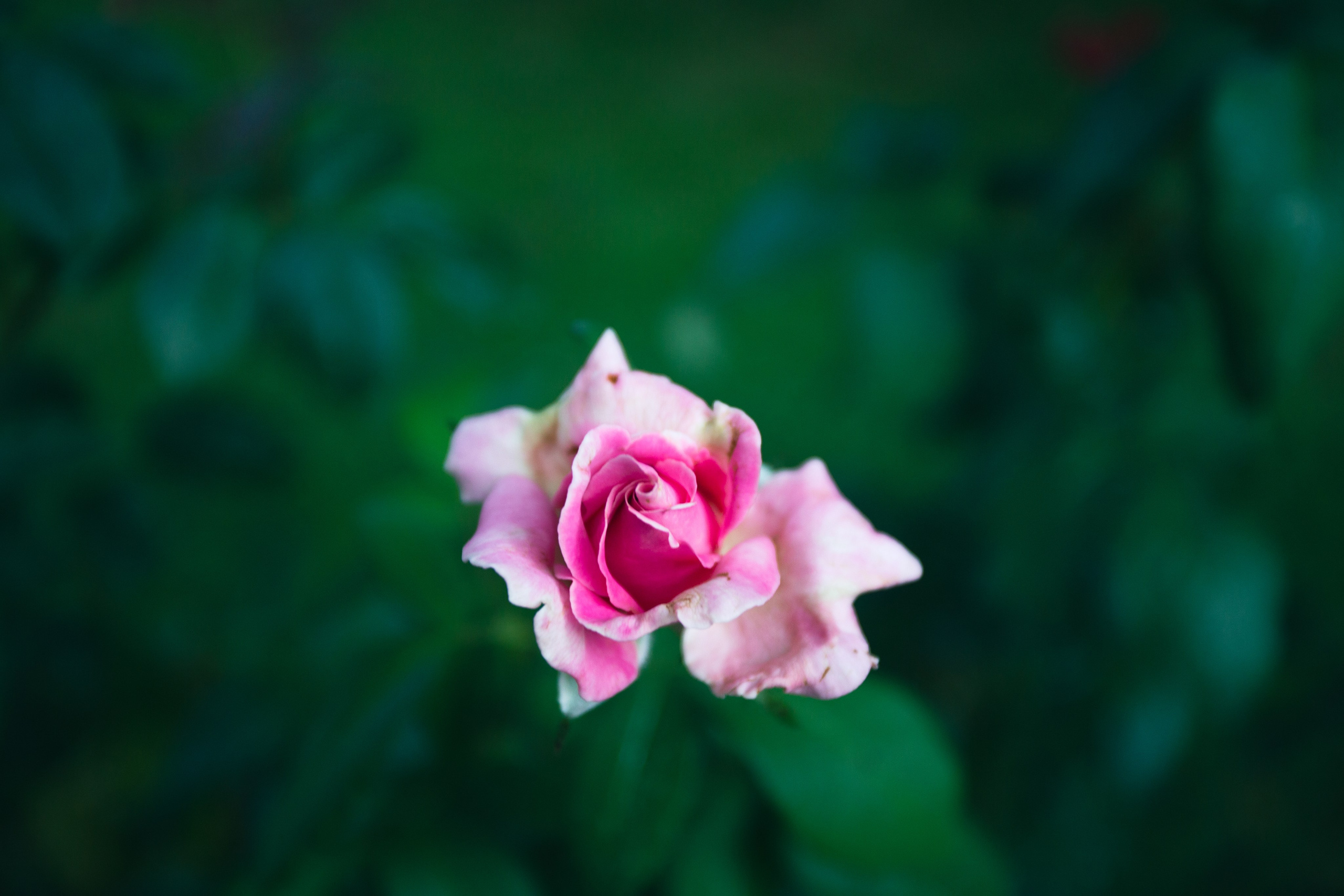 Galle. Фотограф Сонкина Татьяна