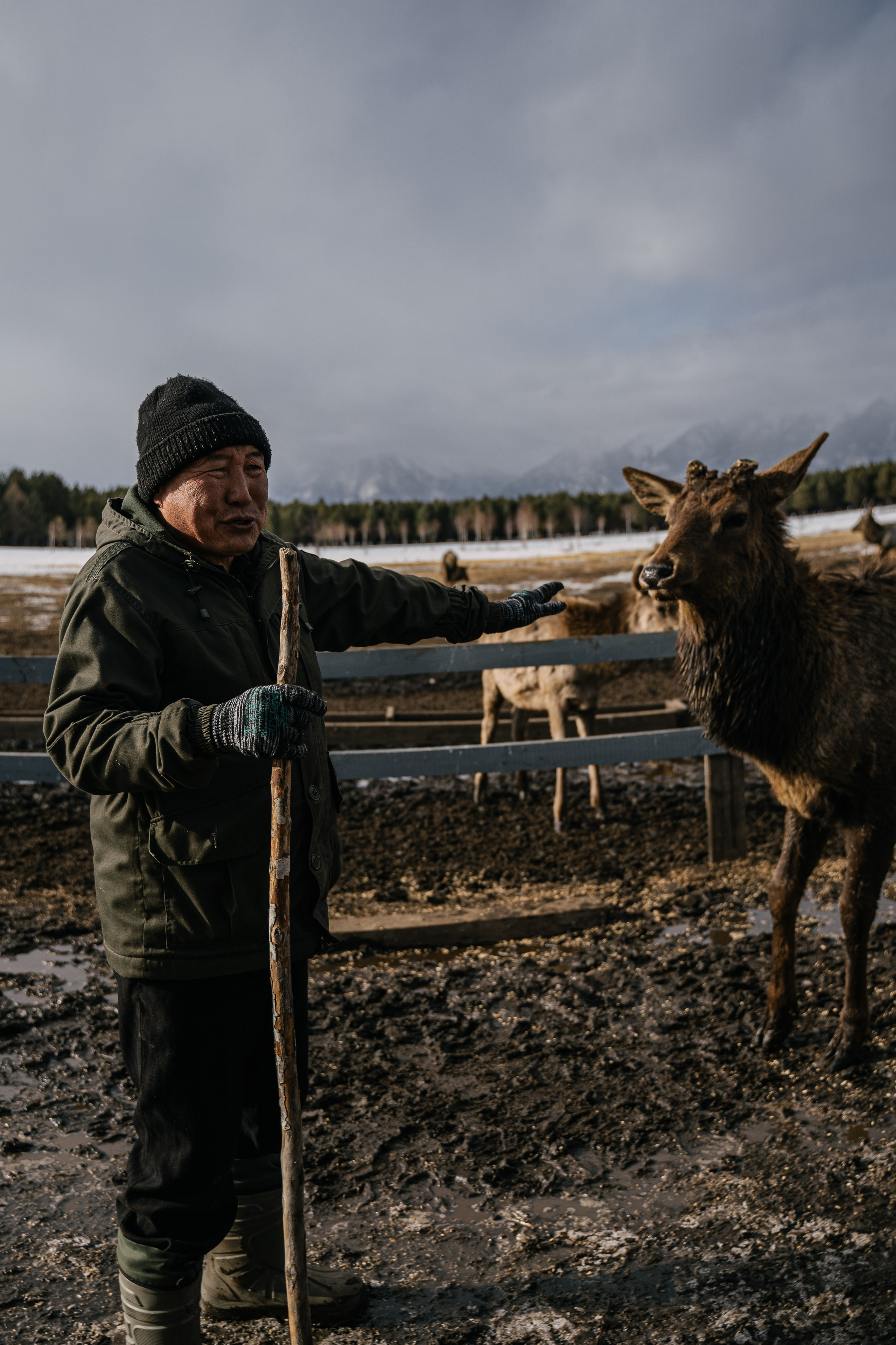Бурятия, Аршан 2024. Фотограф Ольга Пучкова