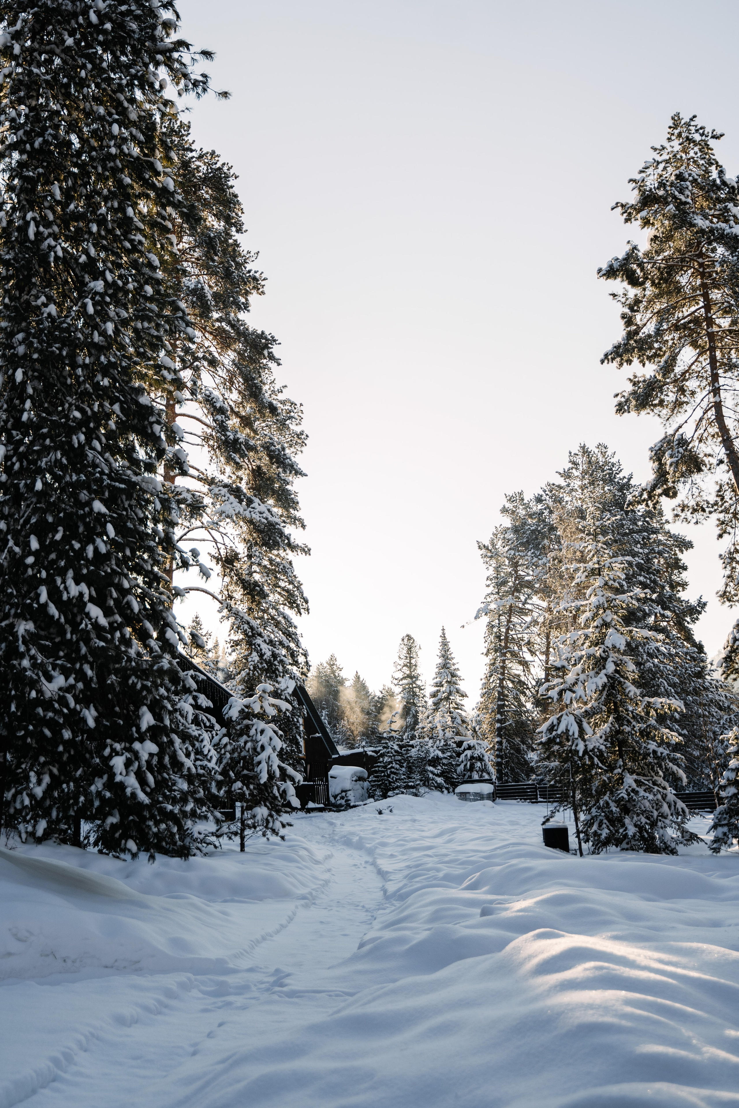 Релекс ТЕЛЕЦКОЕ. Фотограф Ольга Пучкова