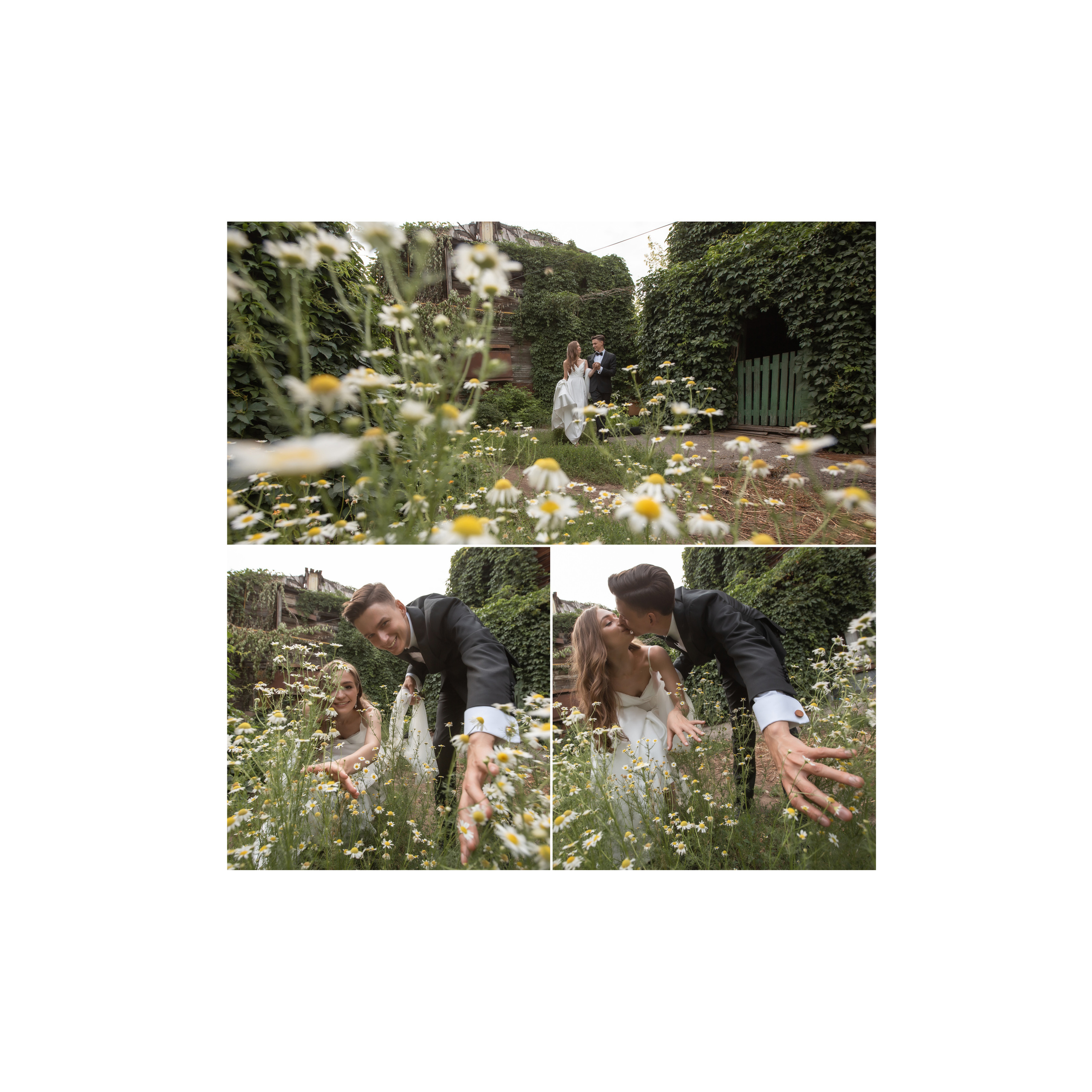 Alexey & Natalia. Wedding photographer