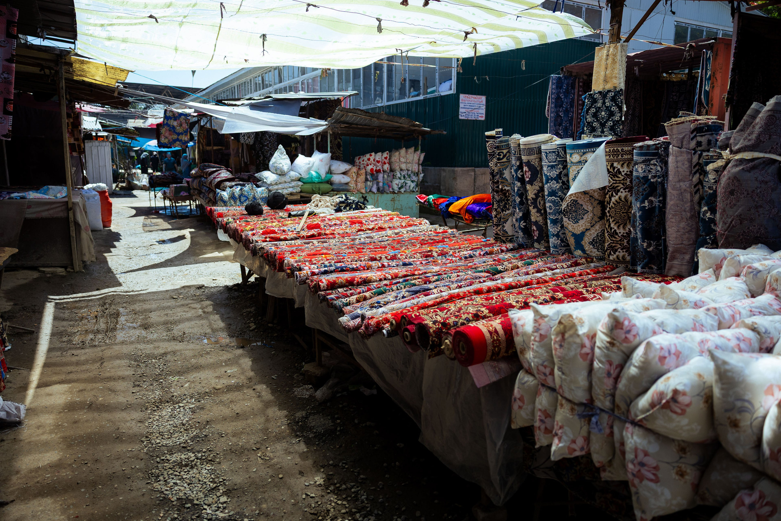 Кыргызстан (весна 2025). Фотограф Виноградов Константин