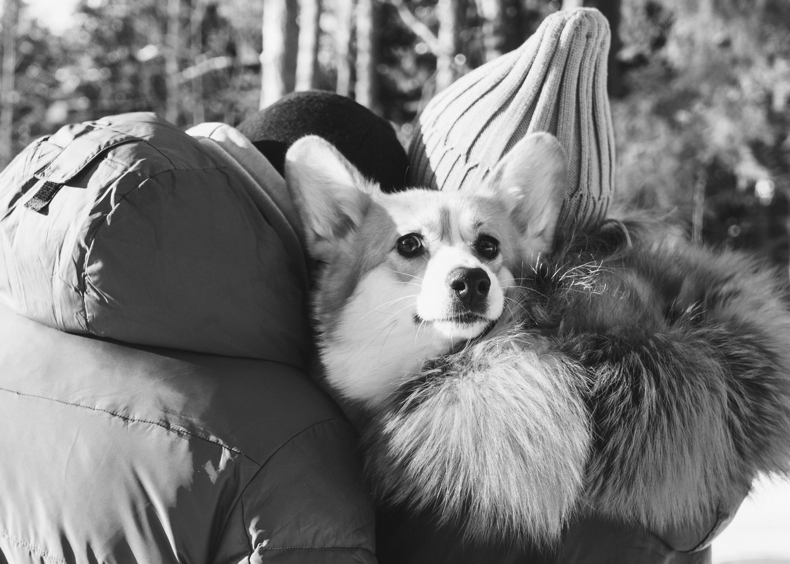 Вы. Фотограф Фадеева Вероника