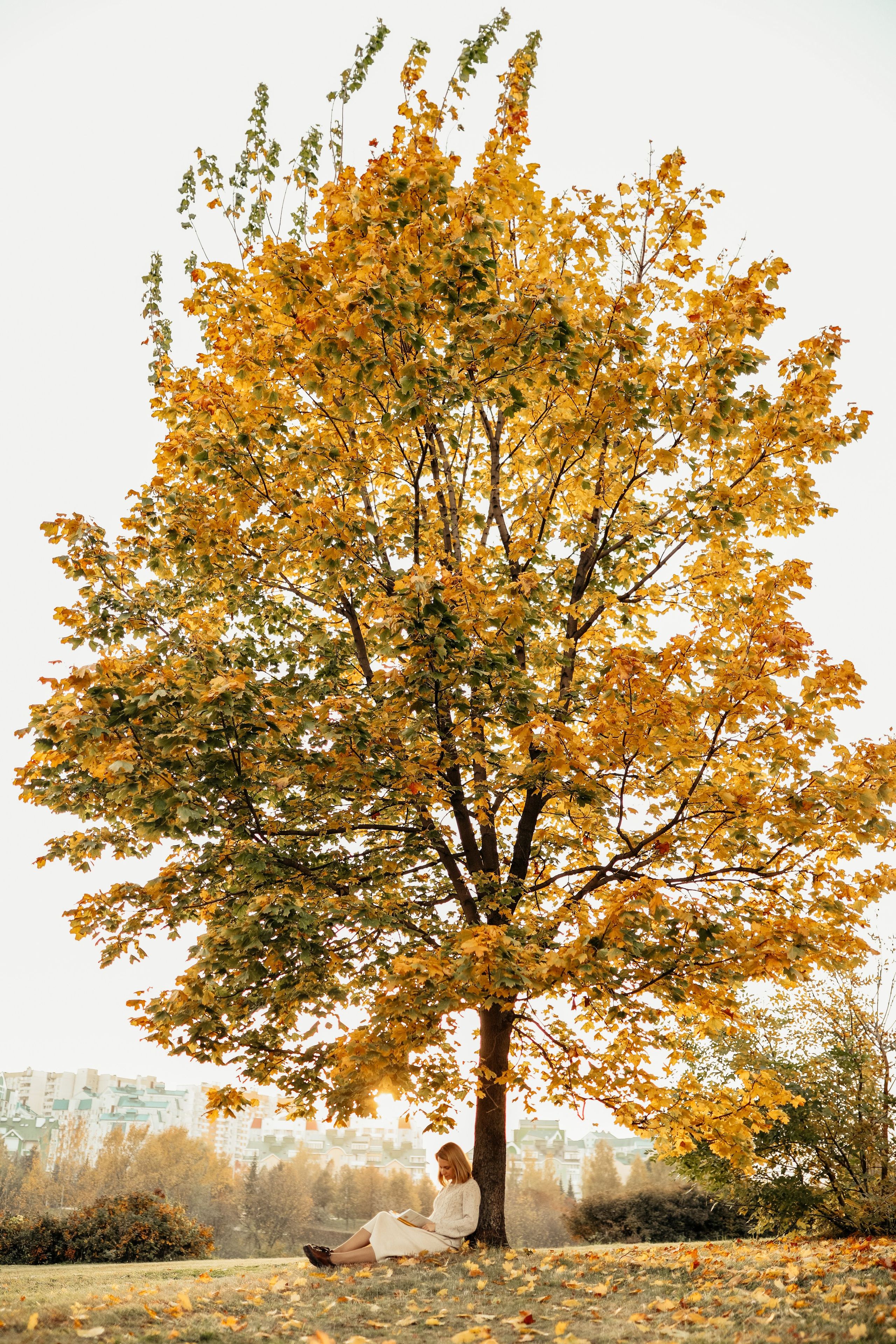 ОЛЬГА. Фотограф Лебедева Наталья