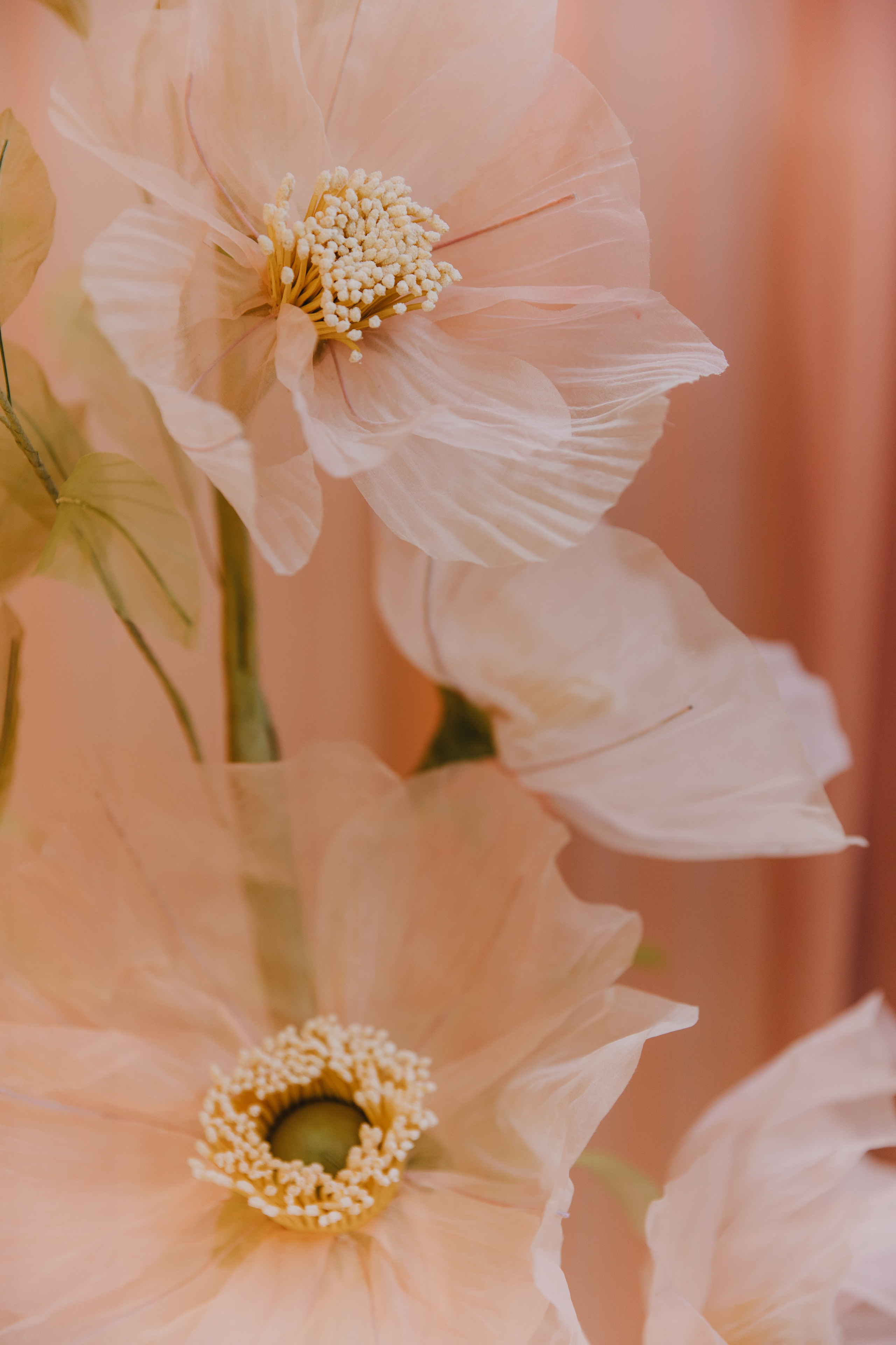 VSummer | 31.08.2024 | МО, ресторан «Рико Дом». МашаШарики | Декоратор | Москва