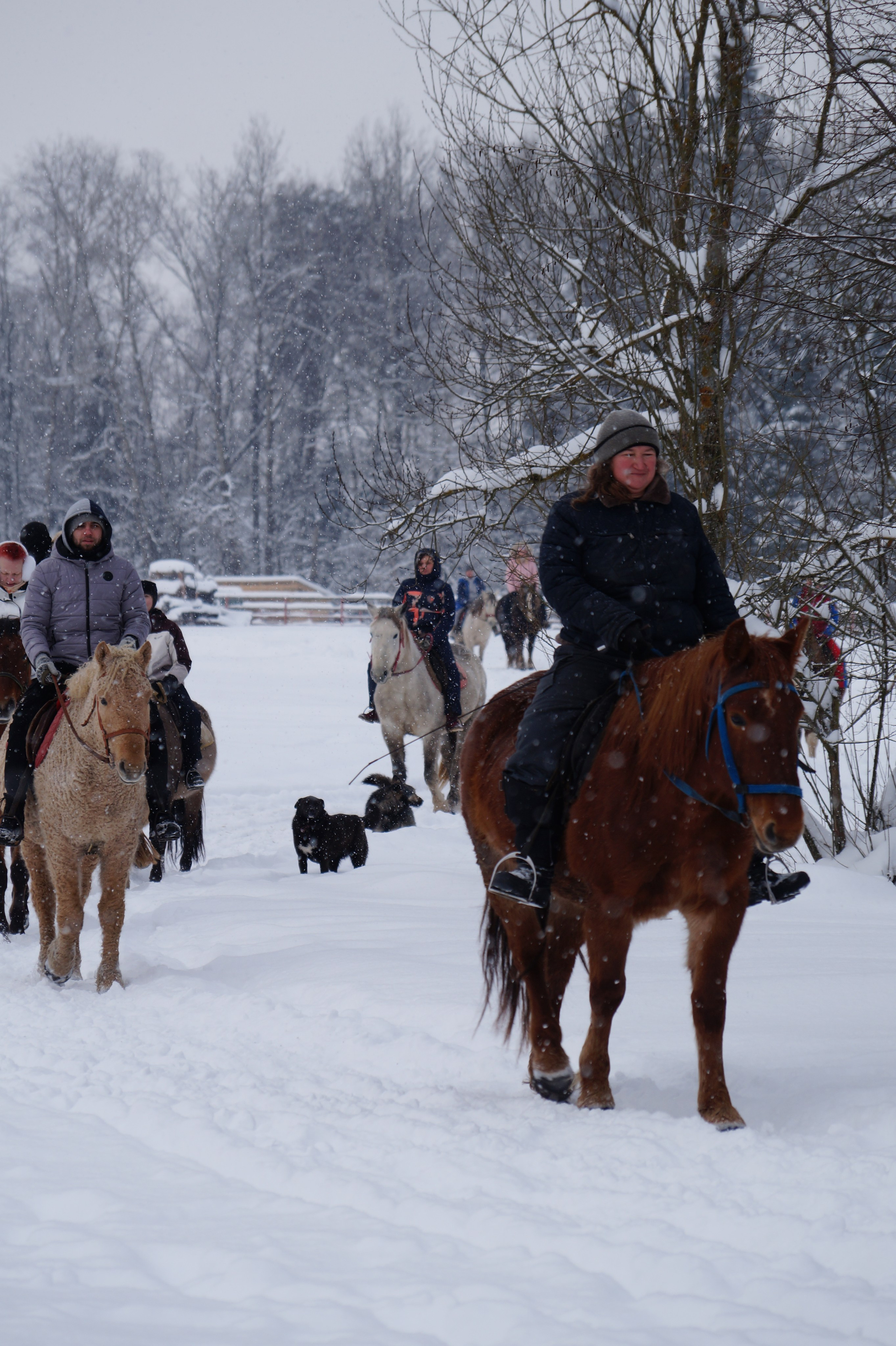 Лошадинг | 11.01.2026. Галерея Фантим
