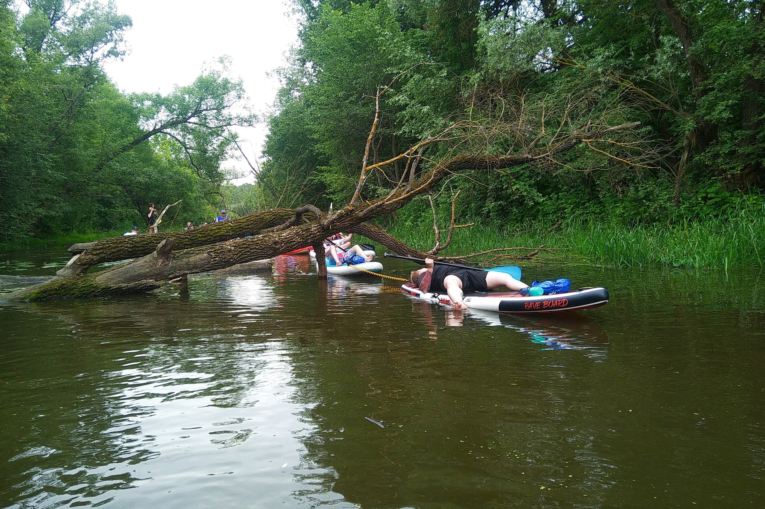 Сплав на сапах | 16.06.2024. Галерея Фантим