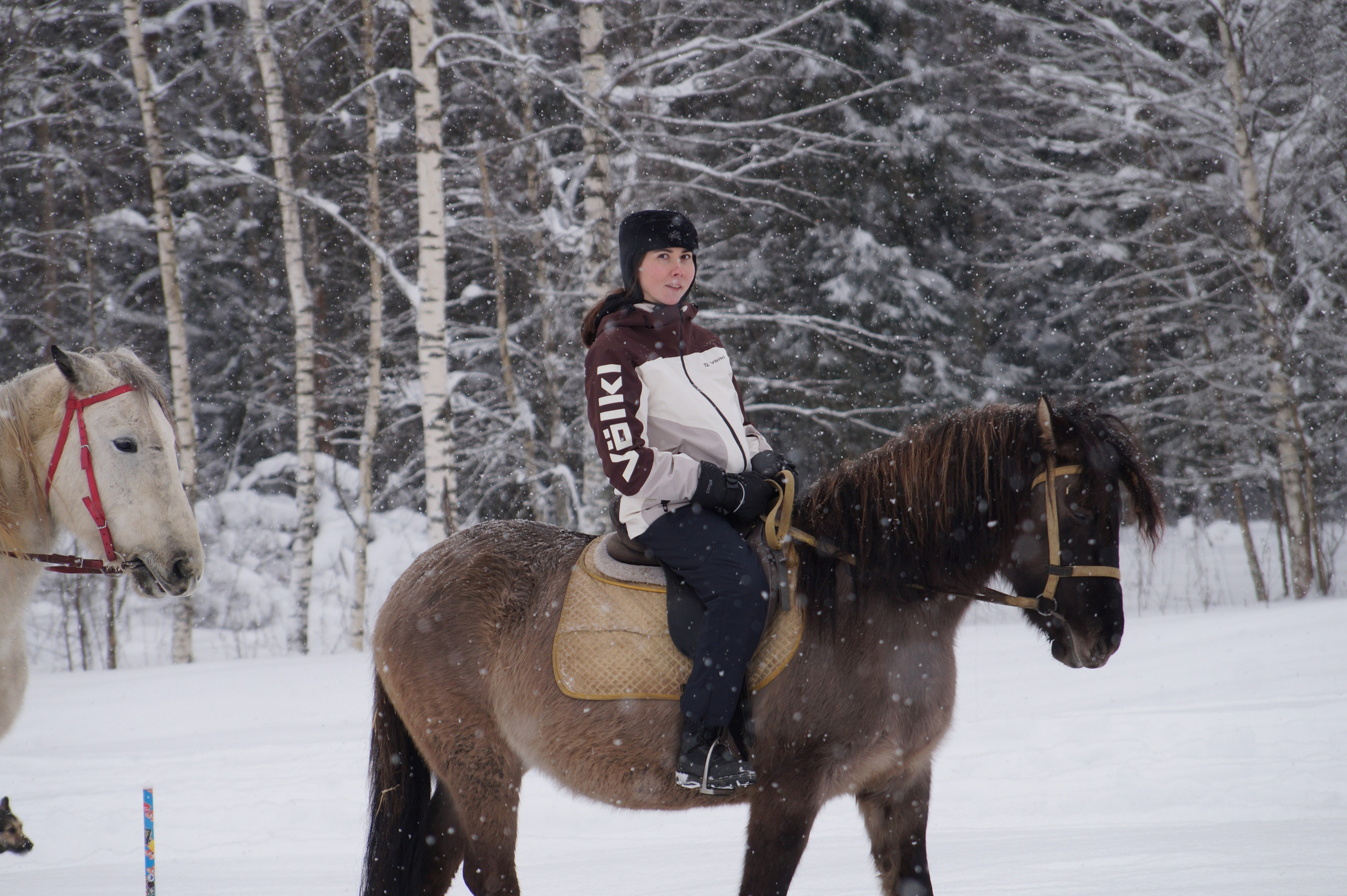 Лошадинг | 11.01.2026. Галерея Фантим