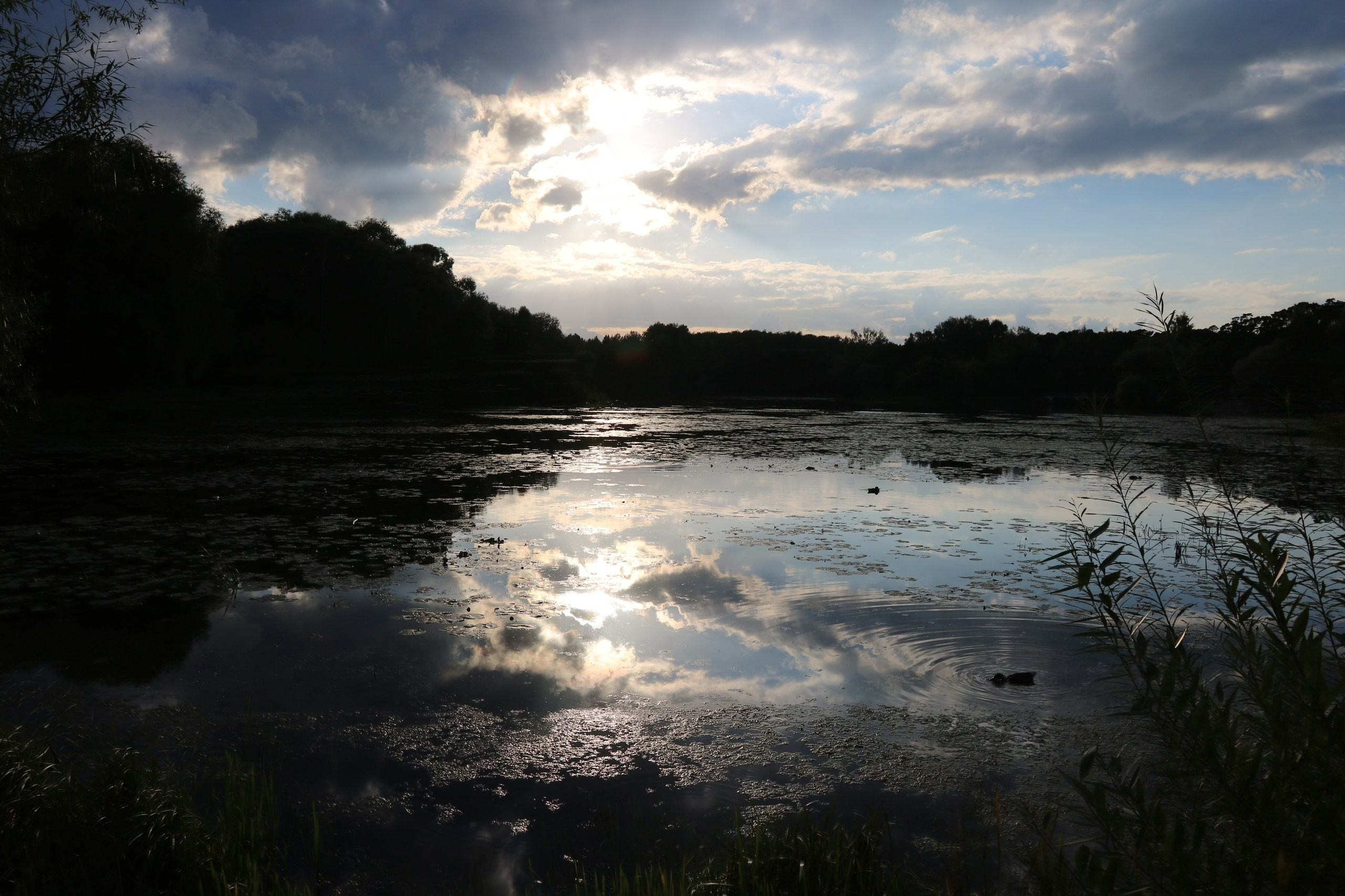Шашлыки «День в Хогвардсе» | 03.09.2016. Галерея Фантим