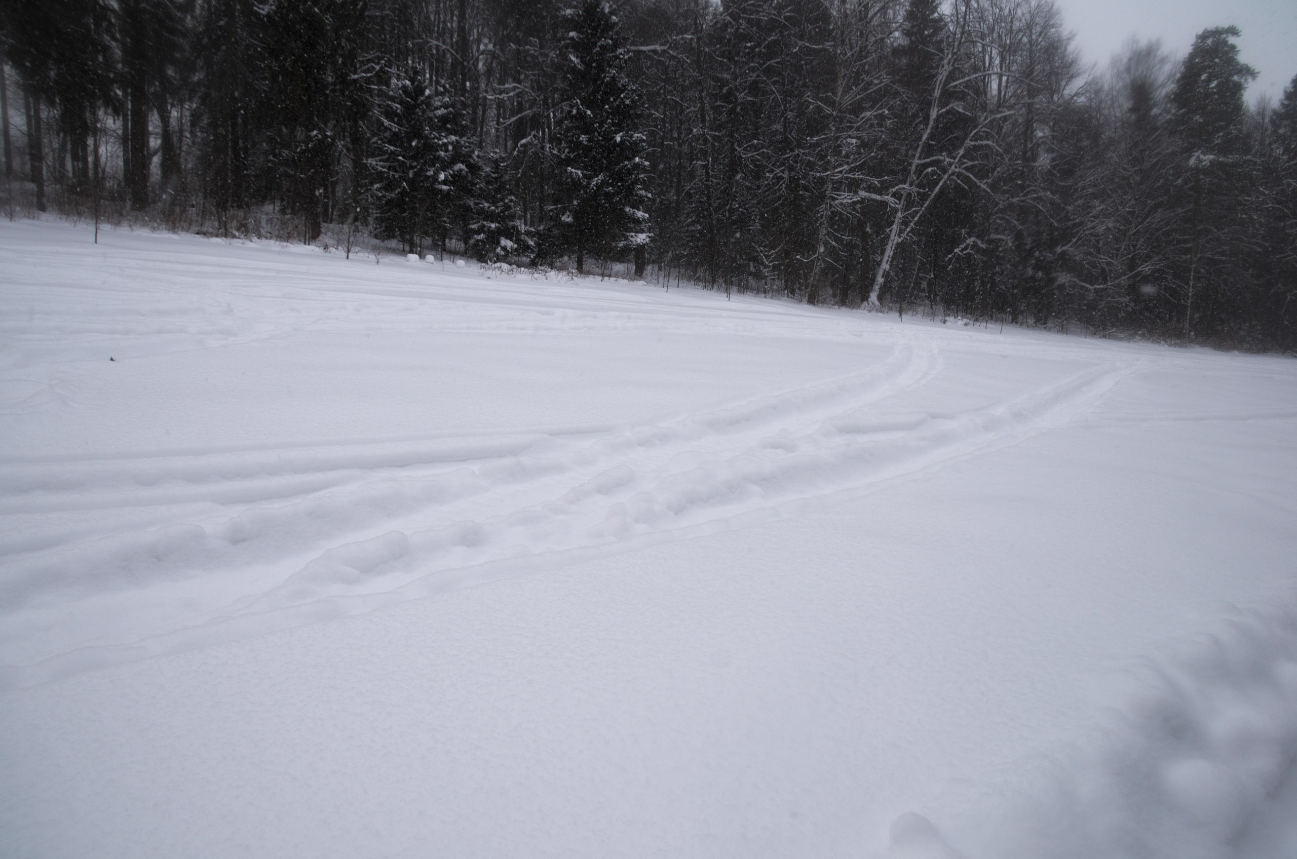 Сергиев Посад | 11.12.2016. Галерея Фантим