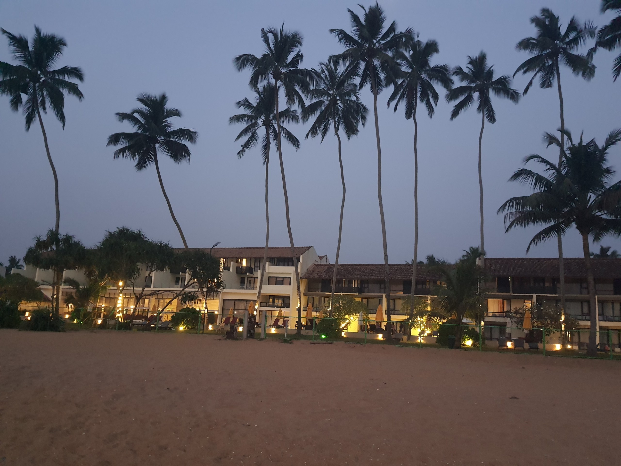 Шри-Ланка | 31.01 — 10.02.2025. Галерея Фантим