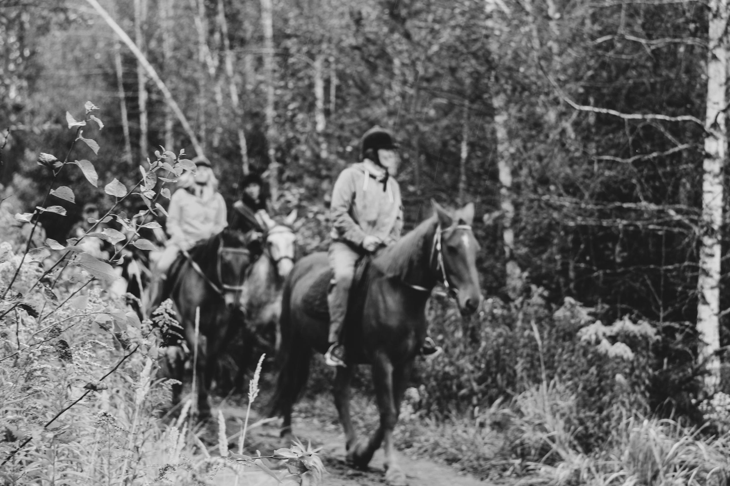 Лошадинг | 27.09.2025. Галерея Фантим