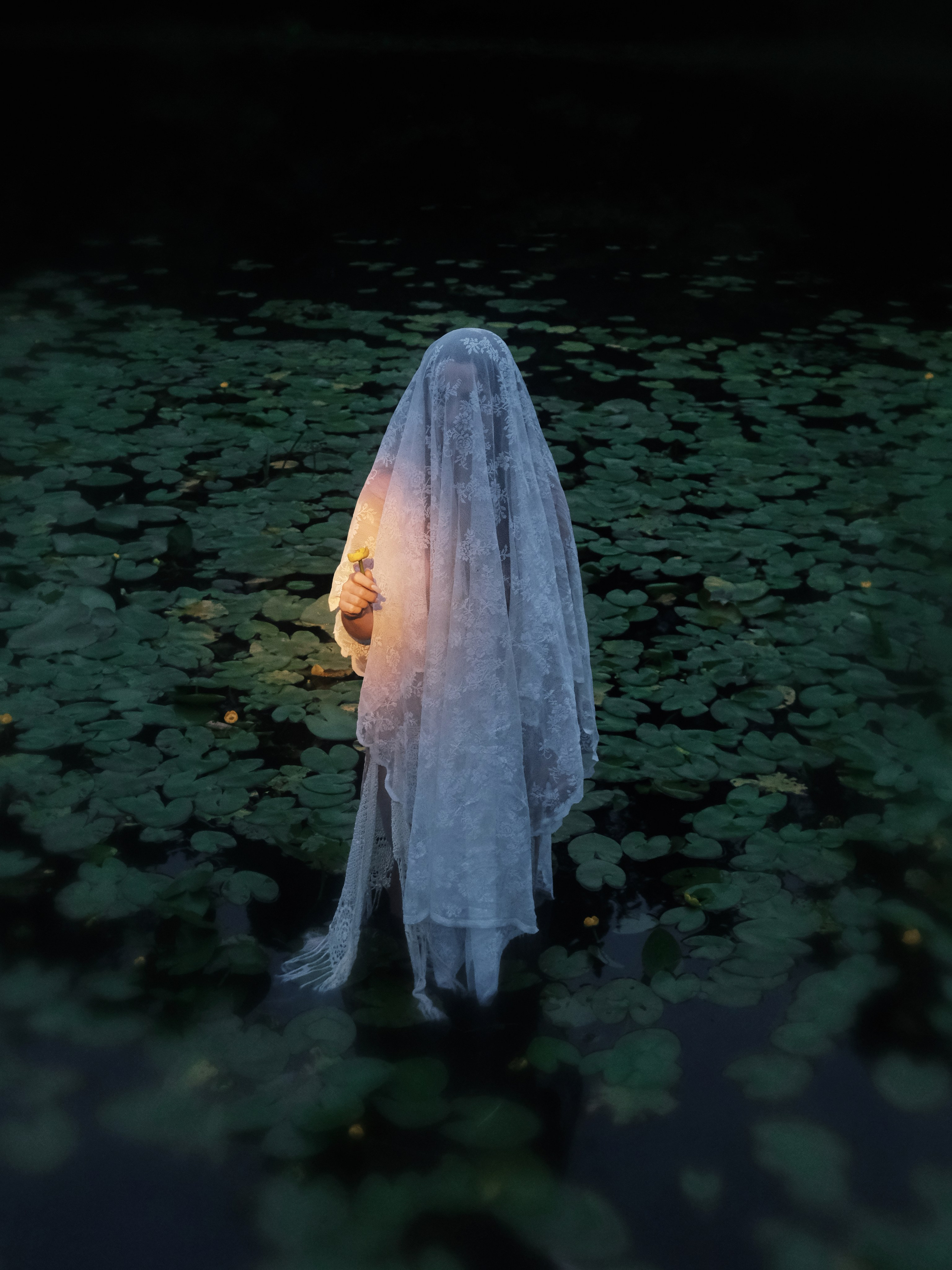 Dega. Photographer Mary Sergo