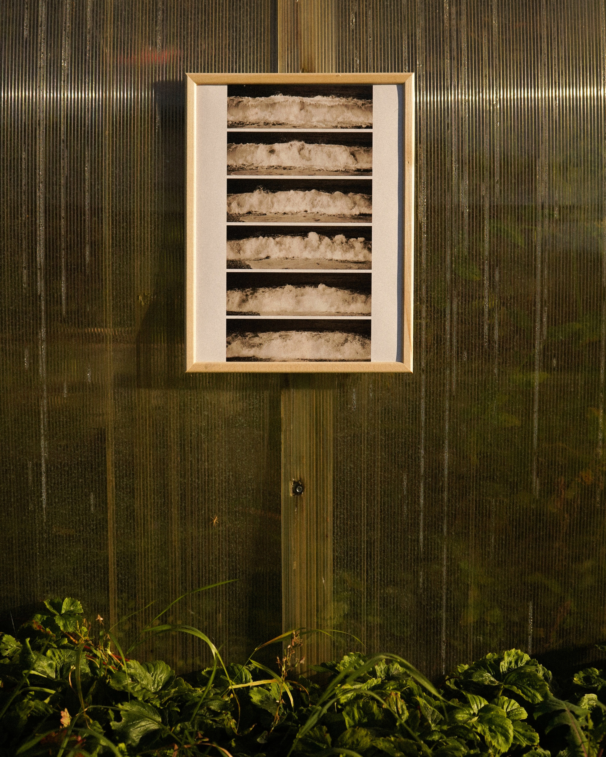 WAVES. Фотограф Нижний Новгород