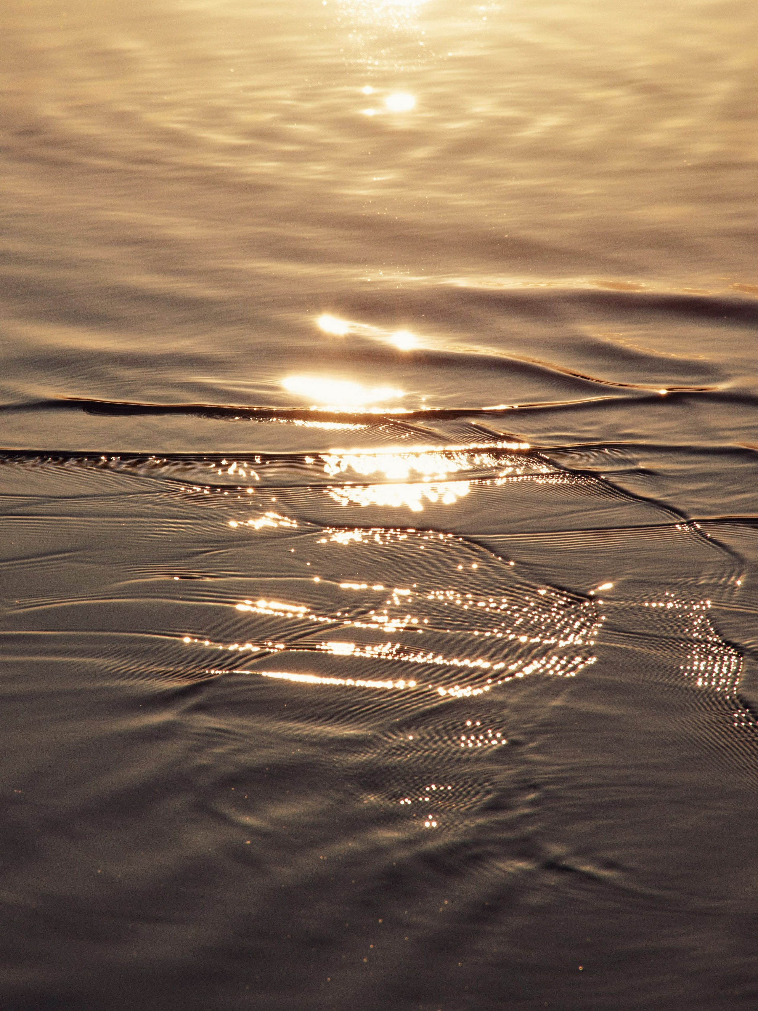 Жидкое золото. С любовью, фотохудожник
