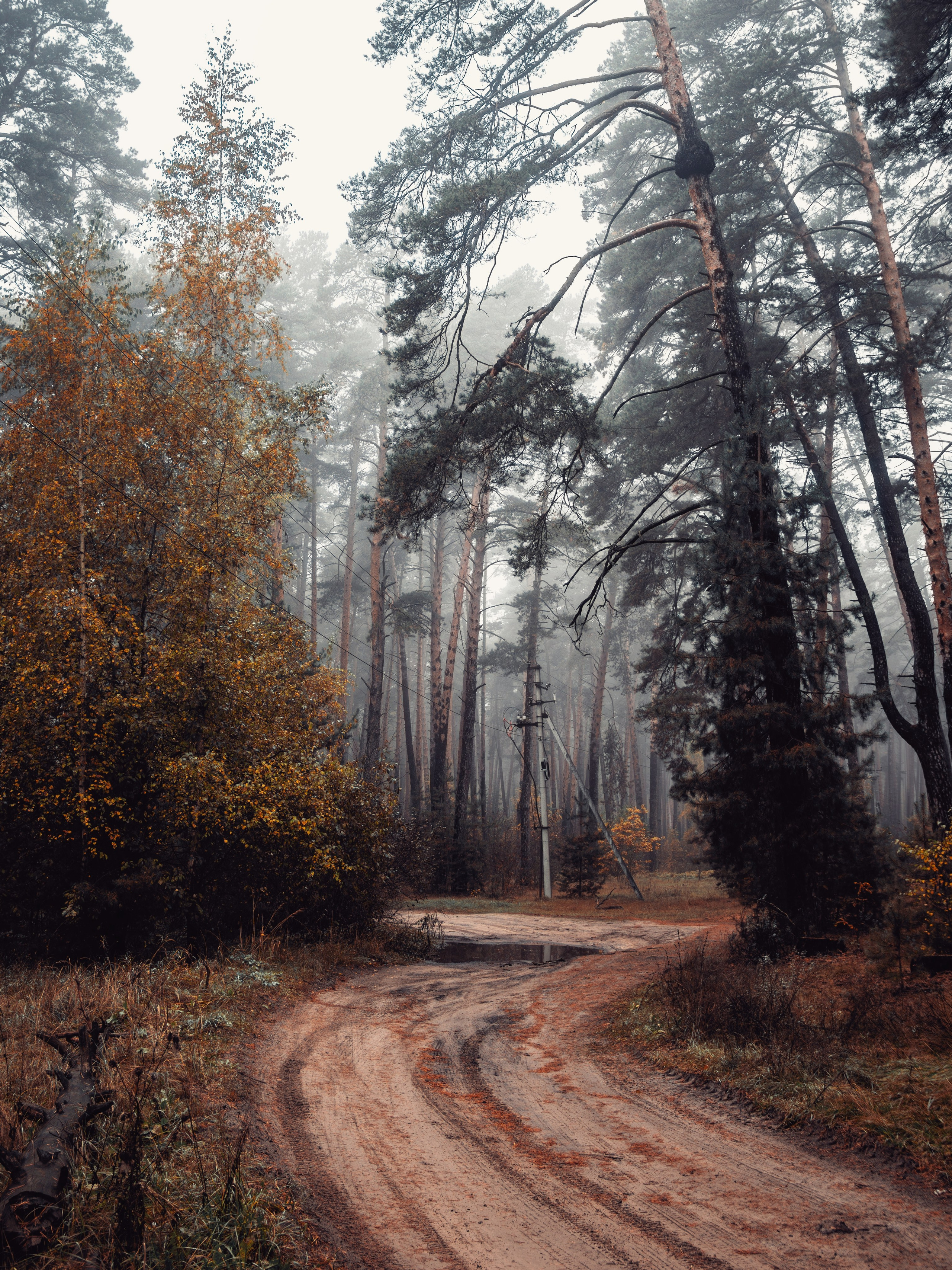 Октябрьский туман. С любовью, фотохудожник