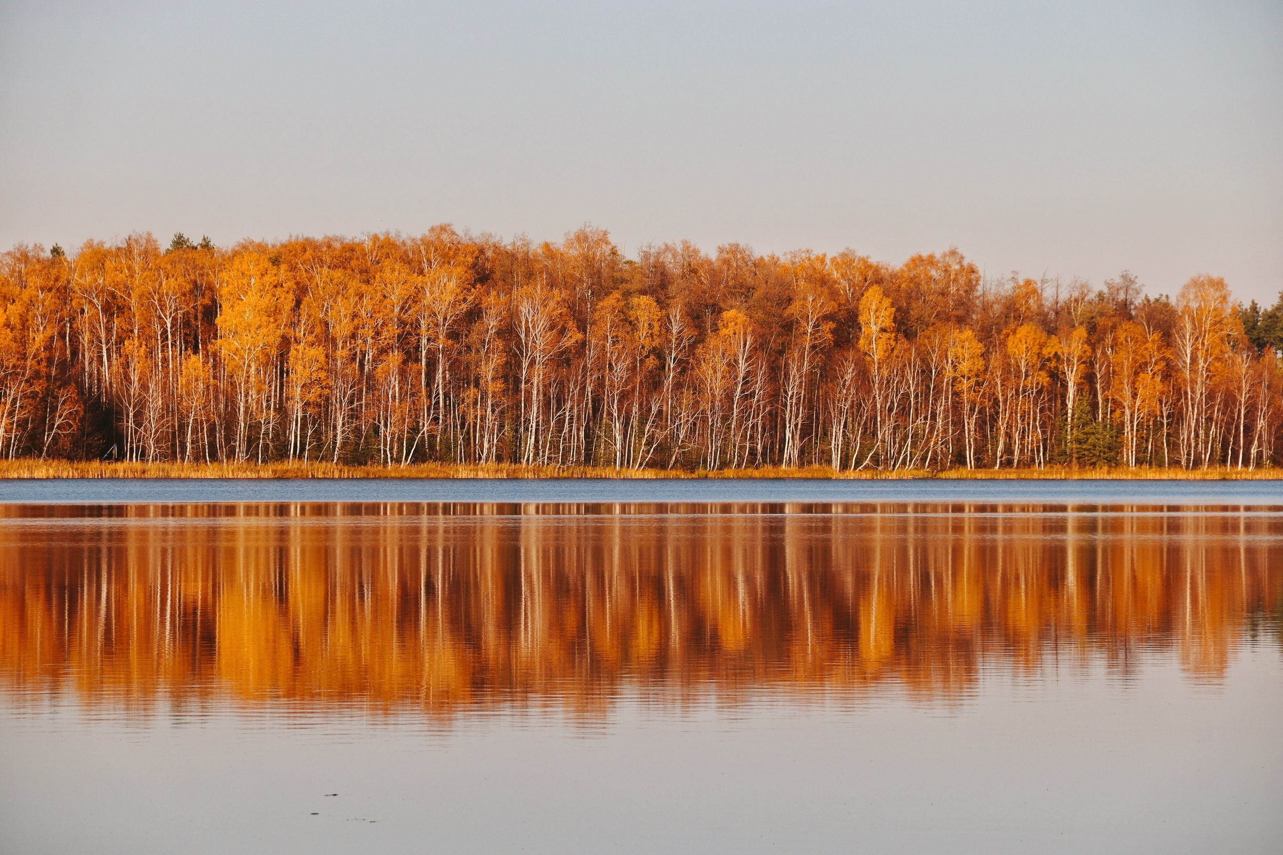По тропе Паустовского. С любовью, фотохудожник