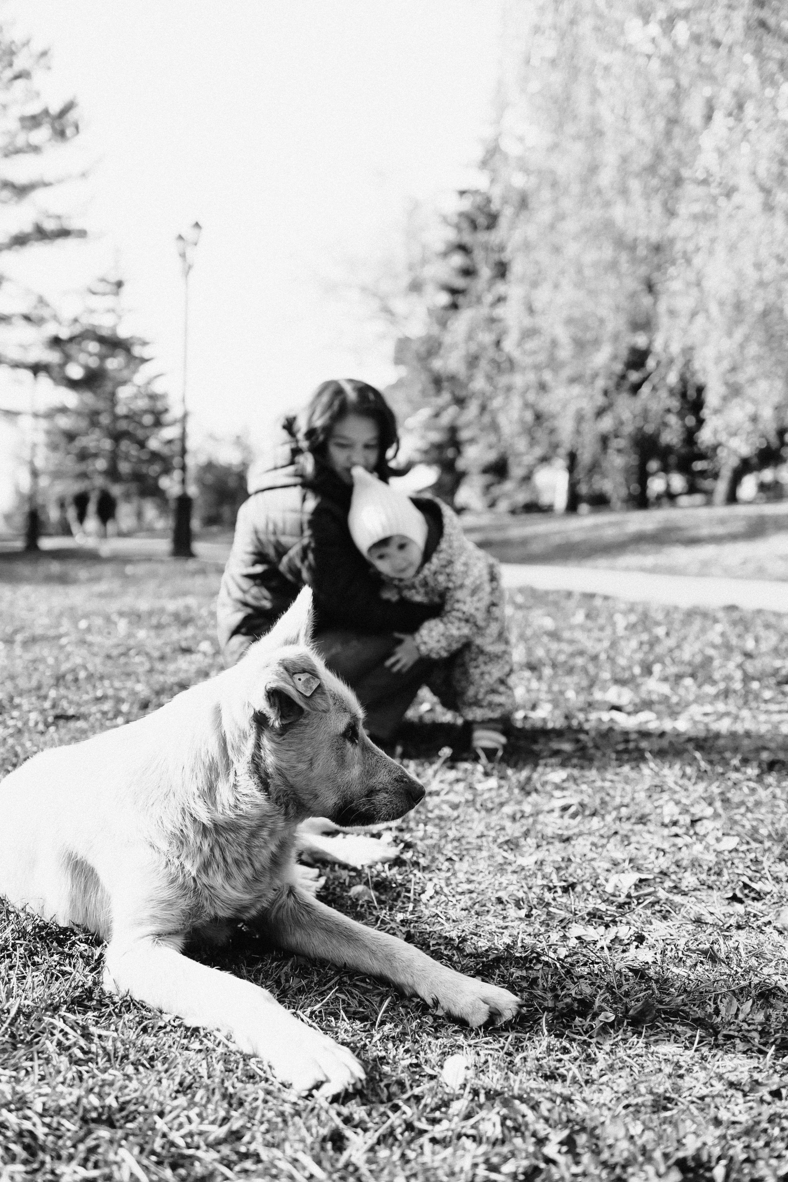 Лилия. Фотограф Уфа