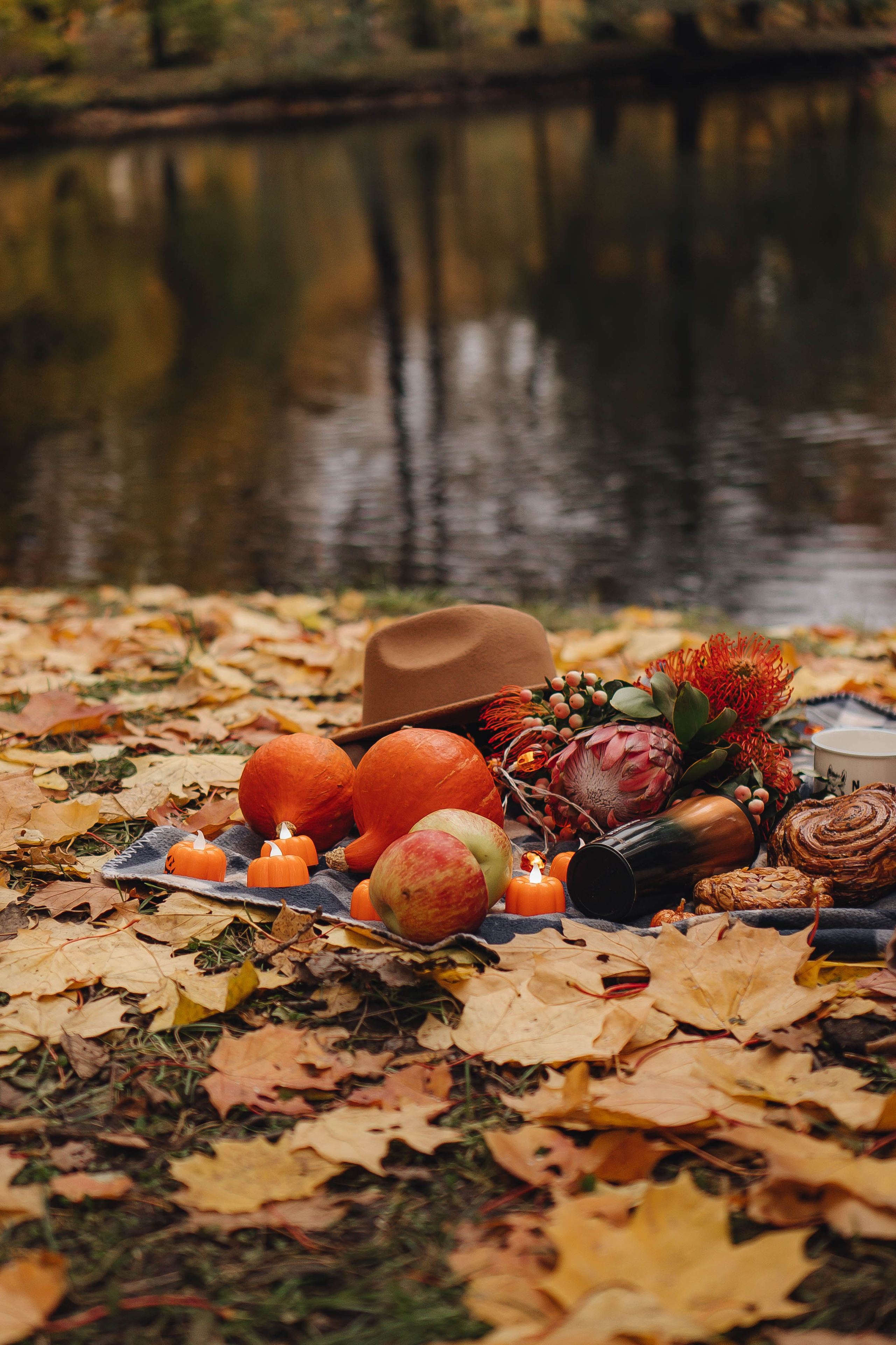Осень. Профессиональный фотограф, Санкт-Петербург — Виктория Богомолова