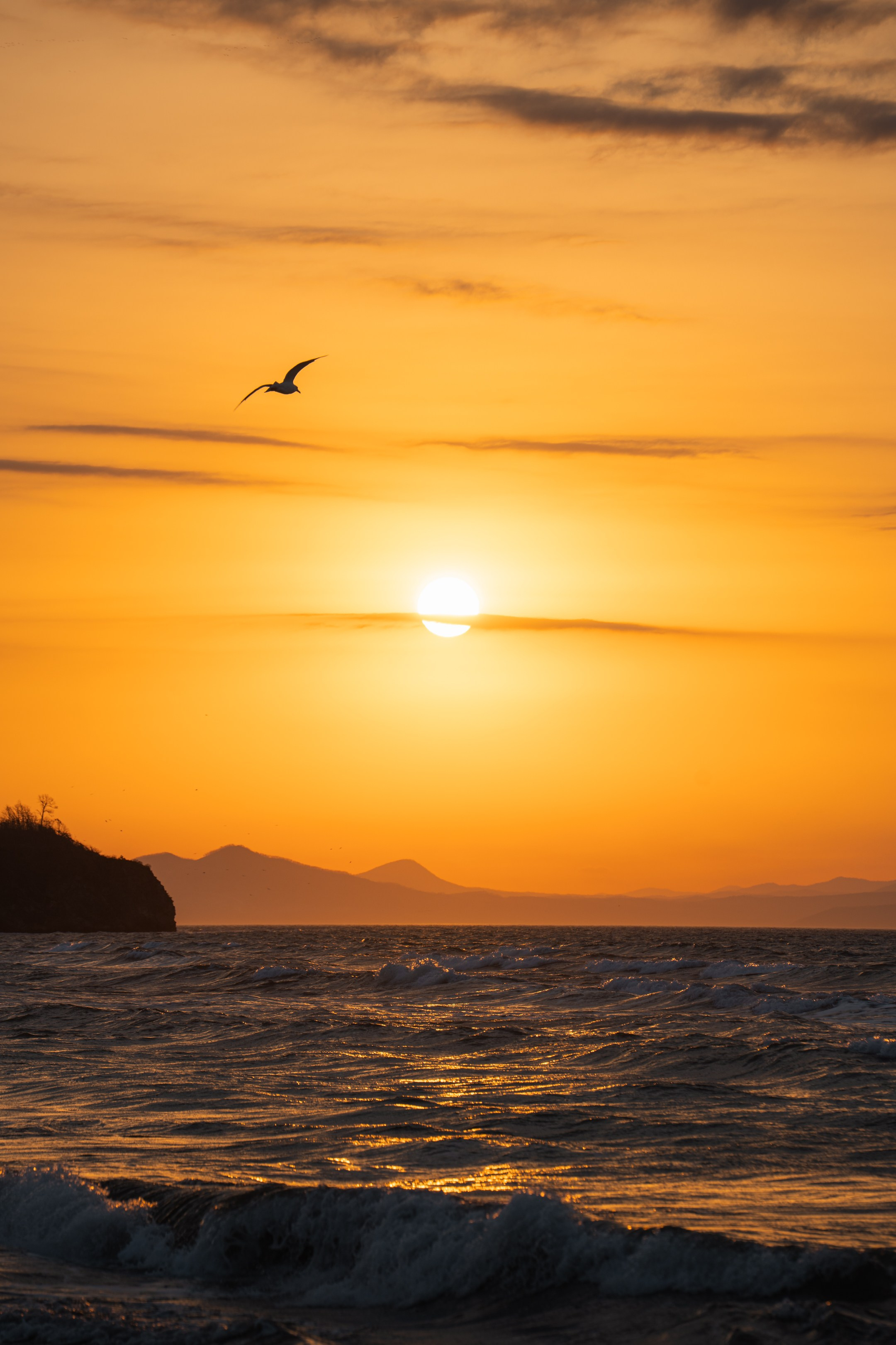 海洋之星酒店. Ivan Zaitsev (IZIART) — 通过照片和视频创建文化代码