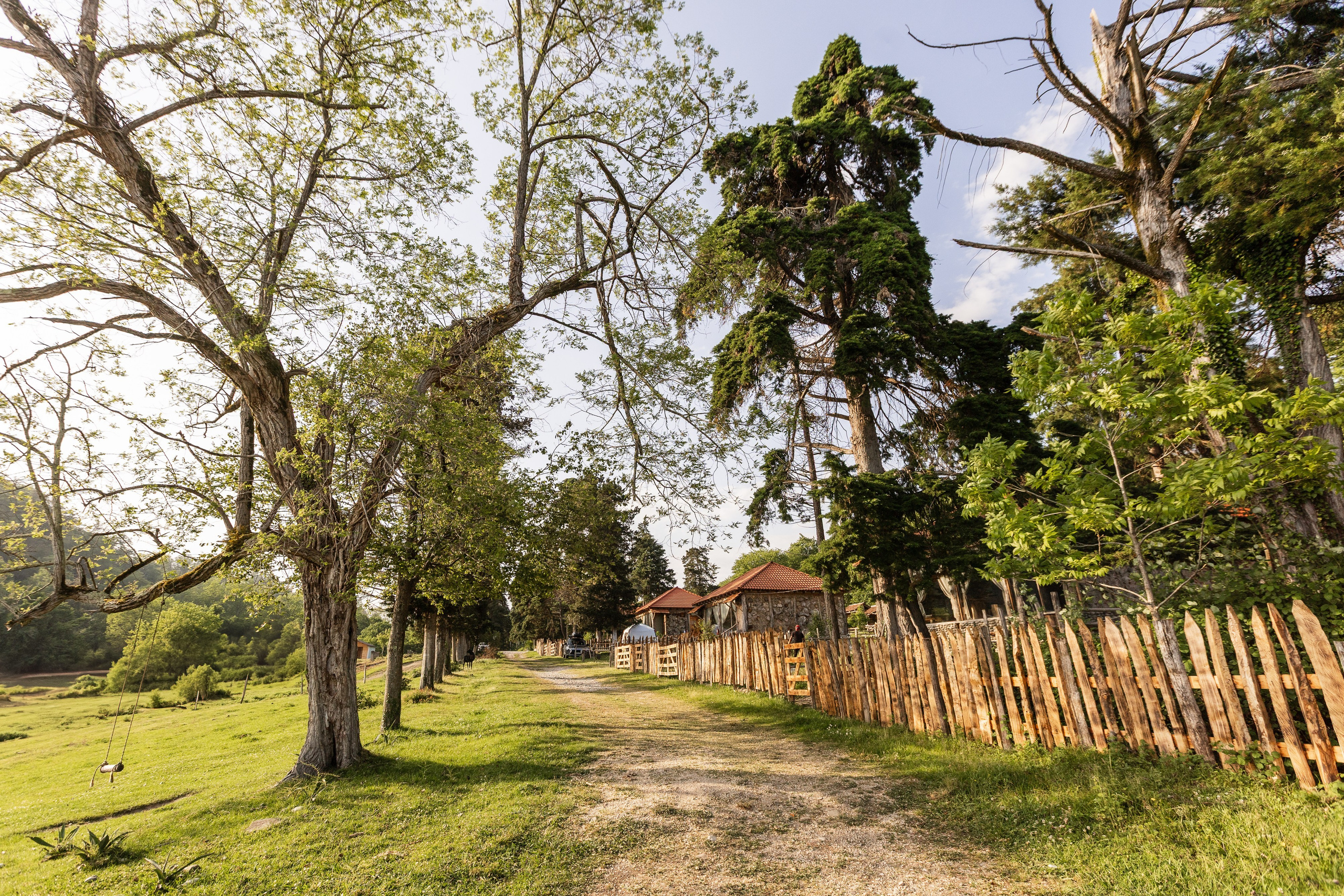 АМБАРА | МЮССЕРА. Семейный фотограф на крещение и венчание