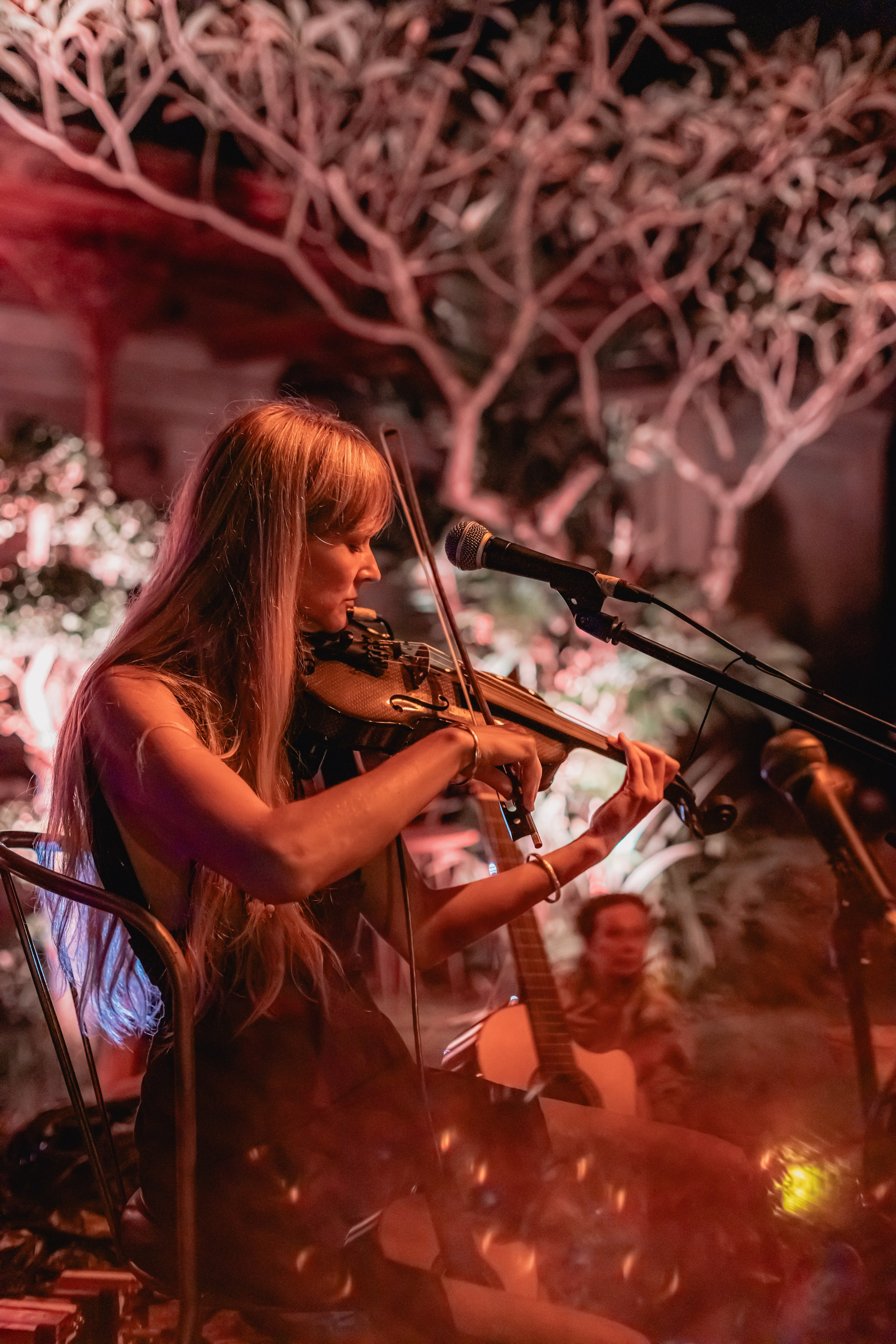 Alegria festival at Zest. Мариам Багдасарян