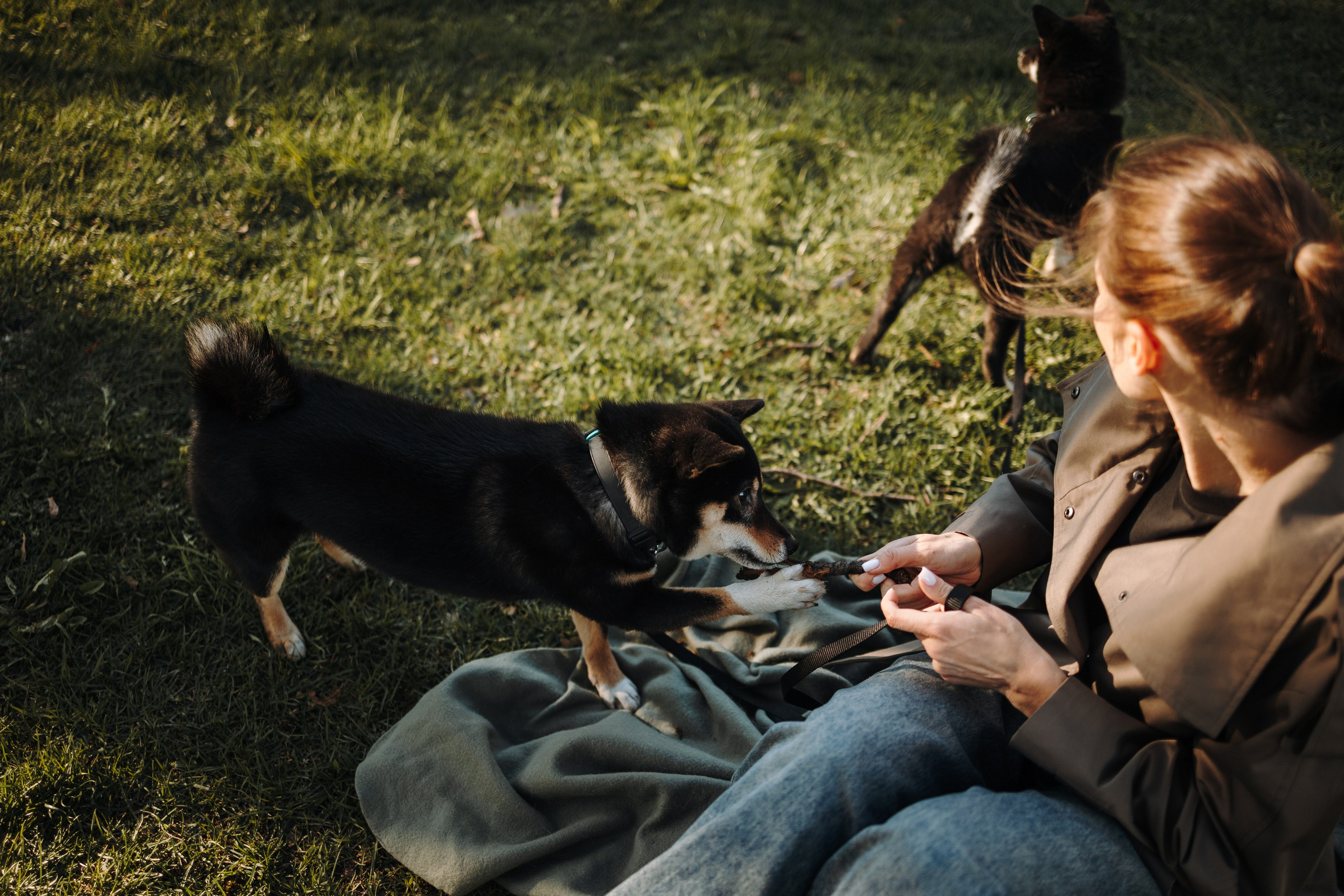 Даша и ее девочки. Фотограф — Анималист | Санкт-Петербург