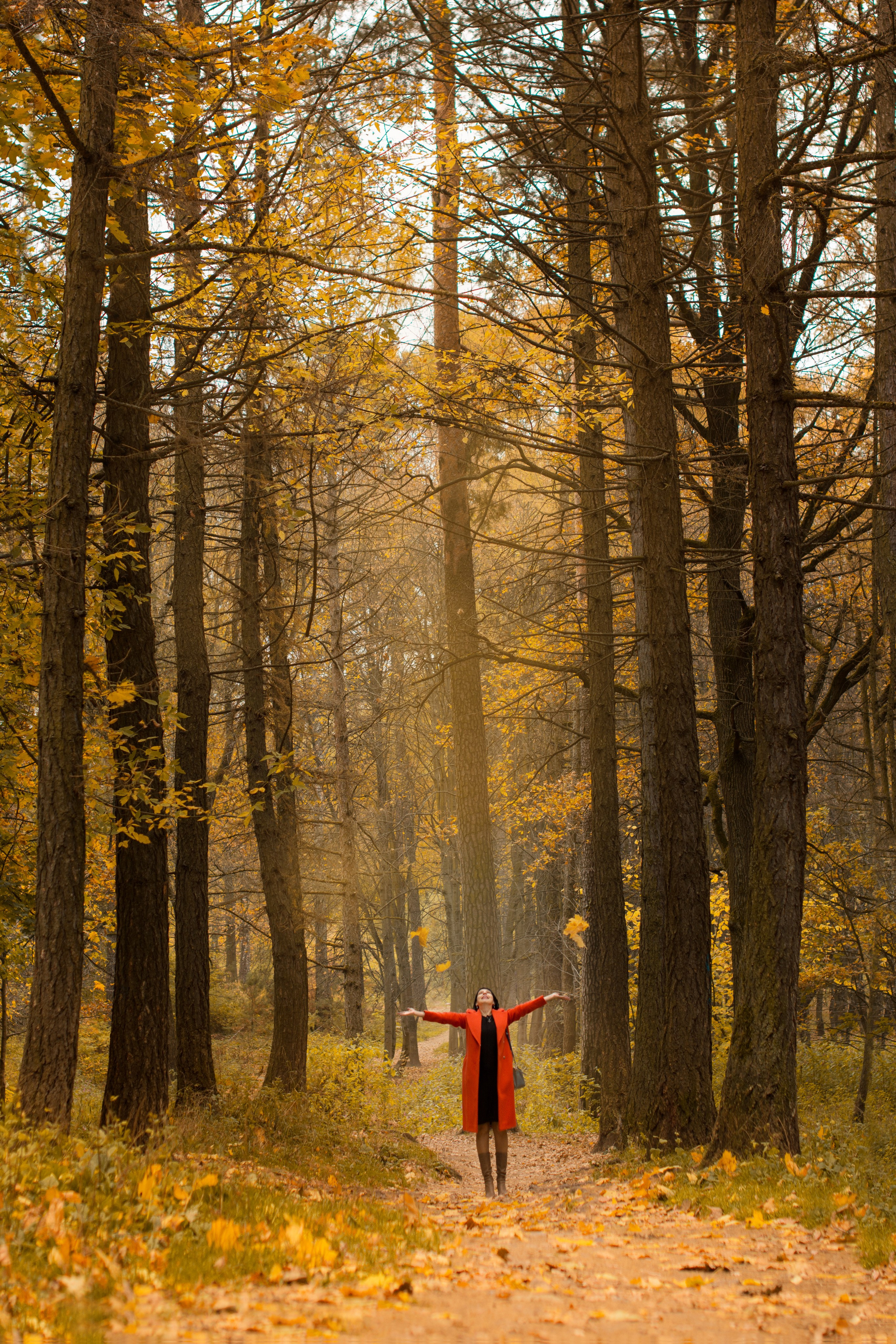 Осень в парке Измайлово. Фотосессия для Анны. Фотосессия беременности — Крылова Натали — Москва