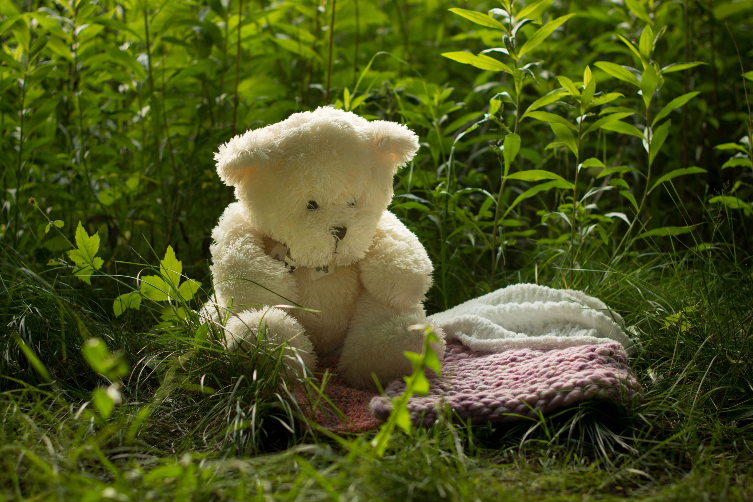 Детская фотосессия до 1 года в парке. Фотосессия беременности — Крылова Натали — Москва