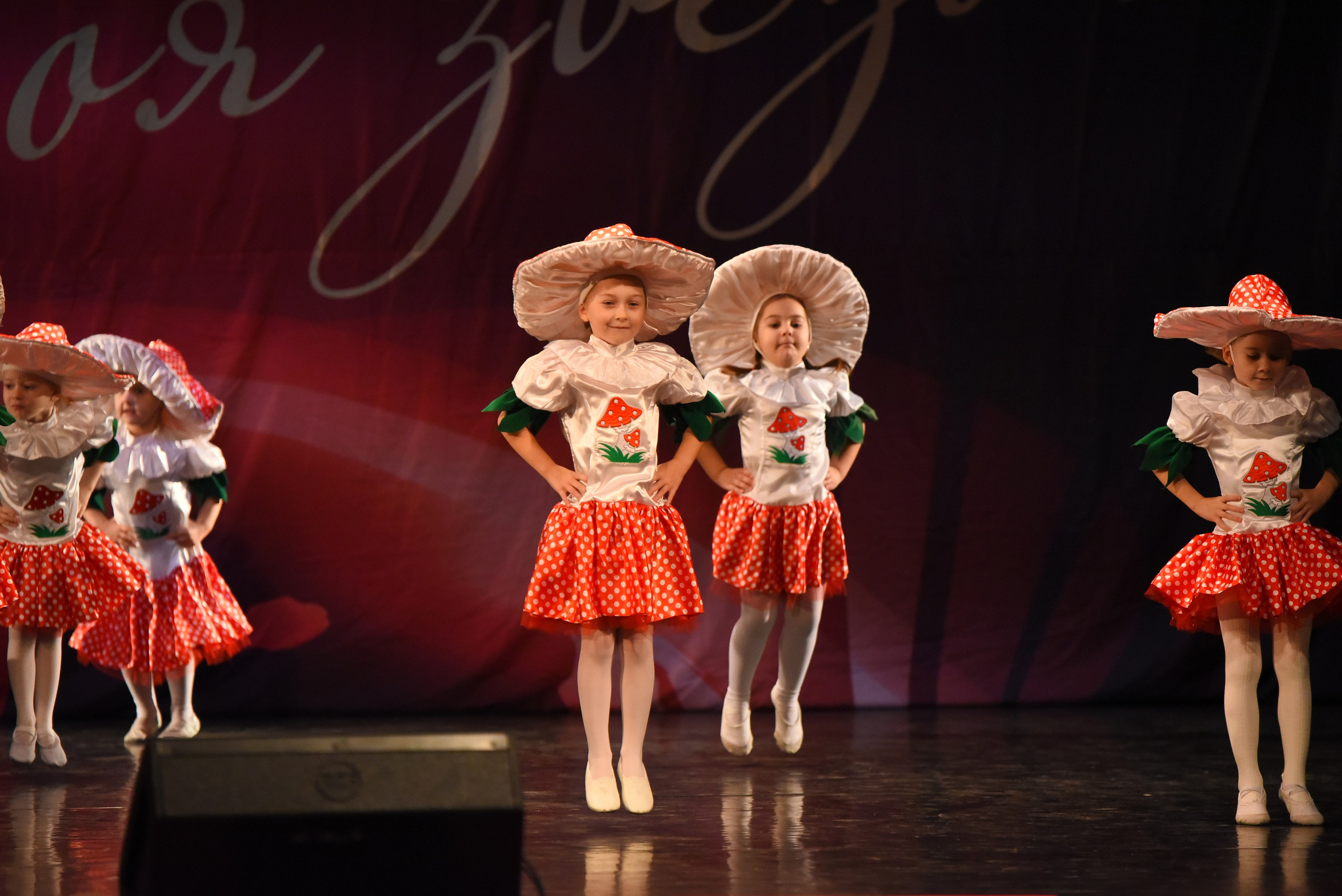 13 декабря, г. Калининград. Золотое яблочко