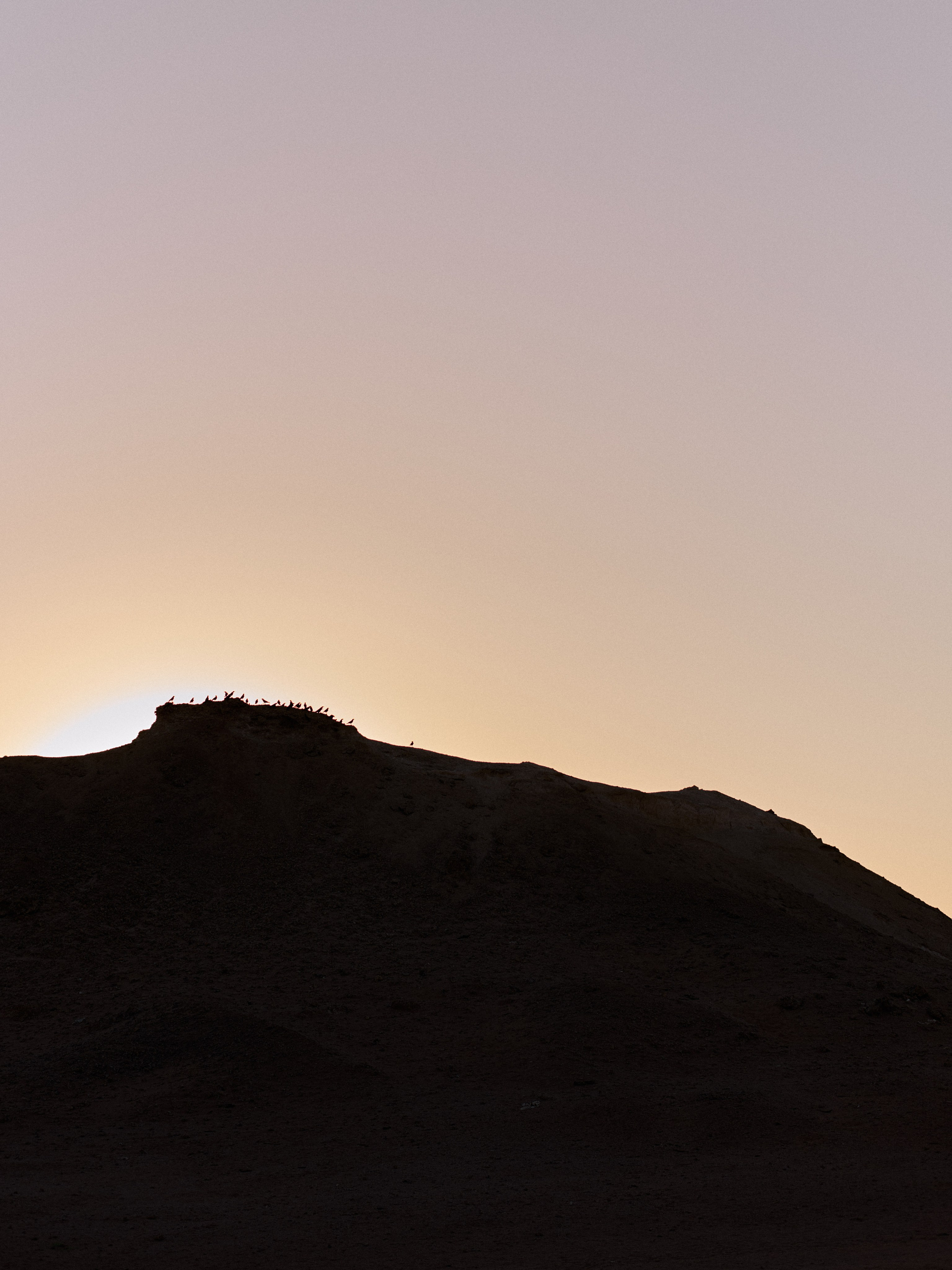 Другое 3. Jorgis — фотограф в Хургаде / обучение фотографии