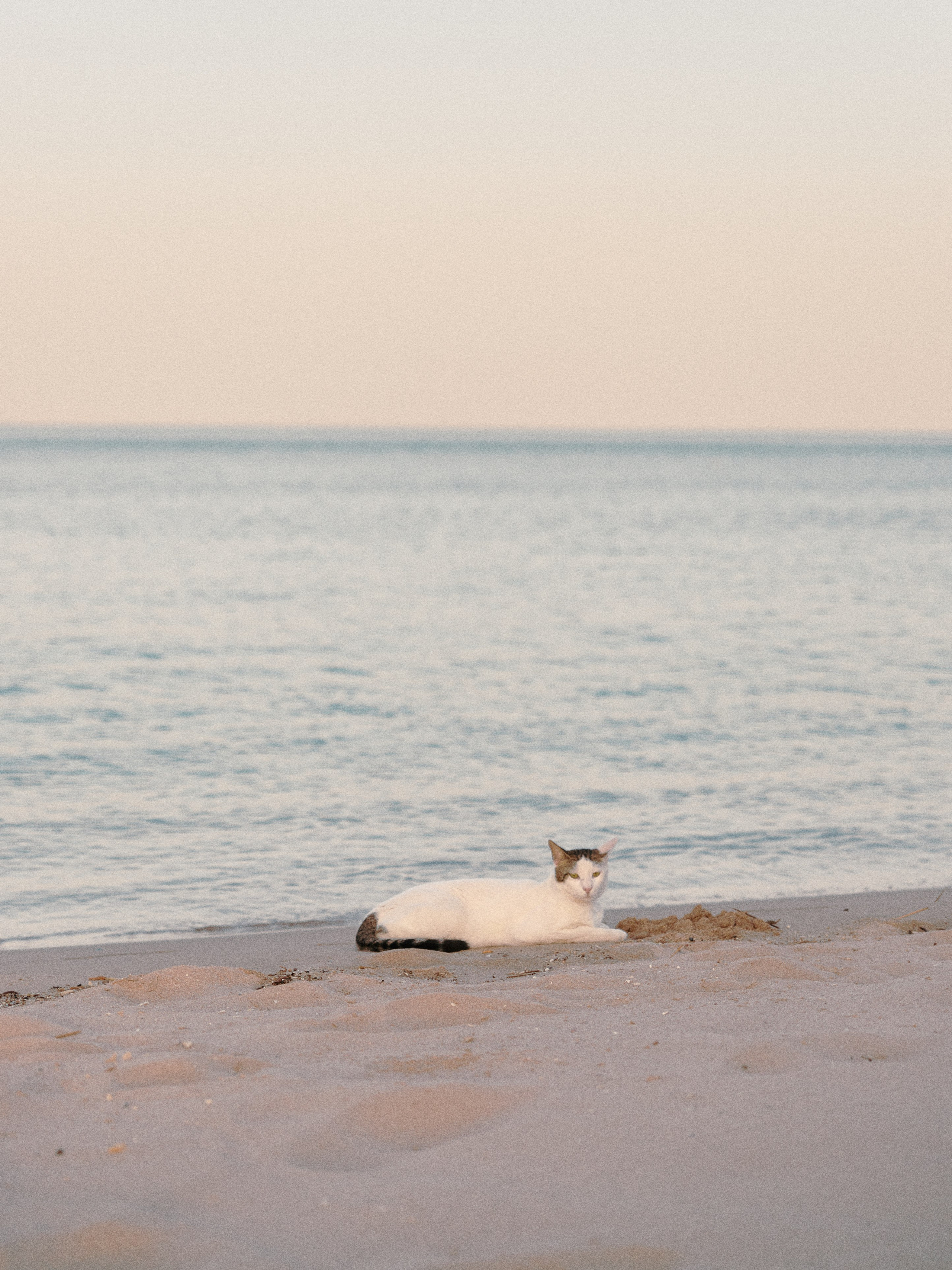 Природа. Jorgis Talè — photographer, kind person, teacher of arts and other mag