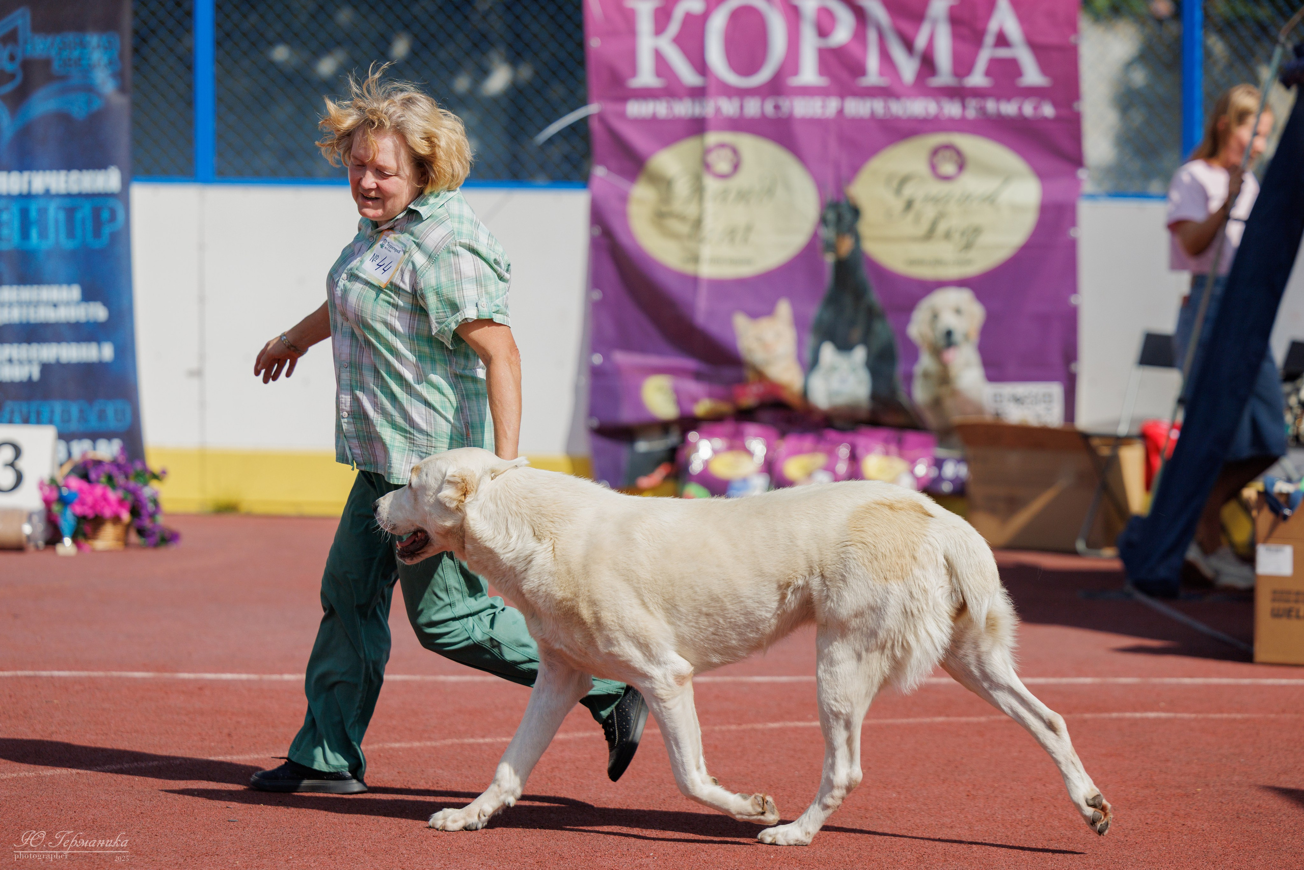 Коломна 30.08.2025. Фотограф-анималист Юлия Германика