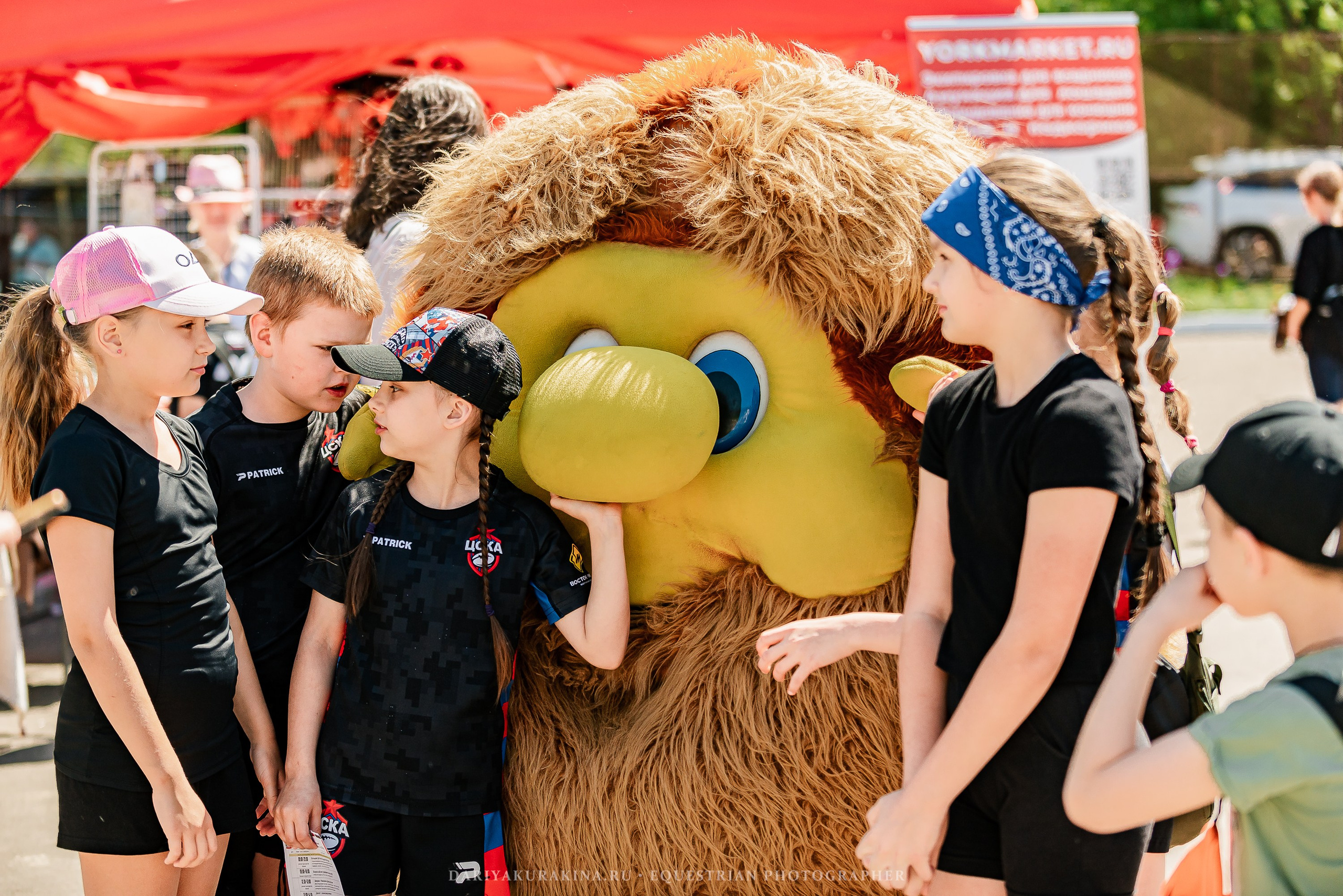 #ПОНИФОРУМ 2024. Конный фотограф Куракина Дарья • Фотосессии с лошадьми