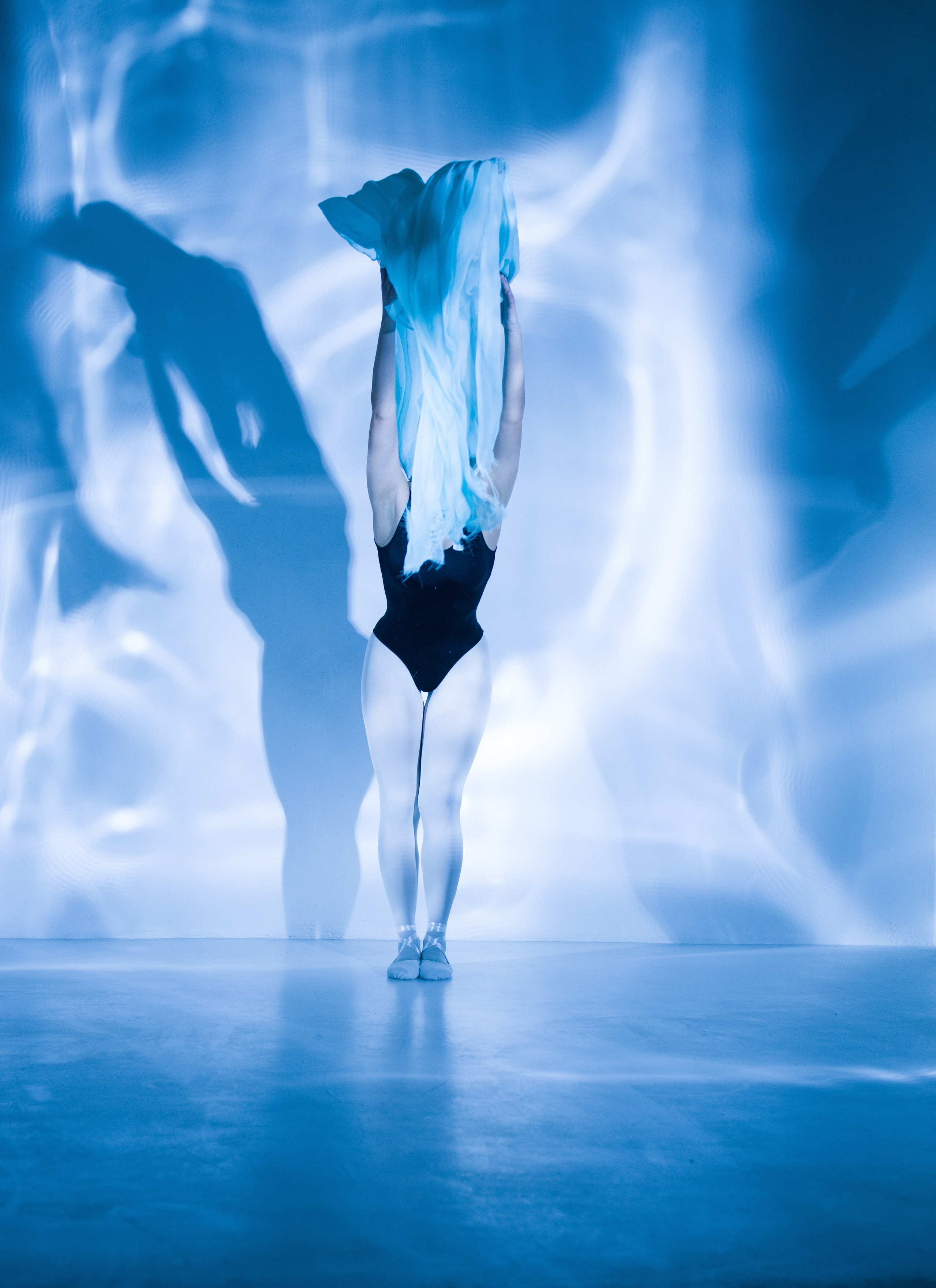 Лилия. Художественная фотография