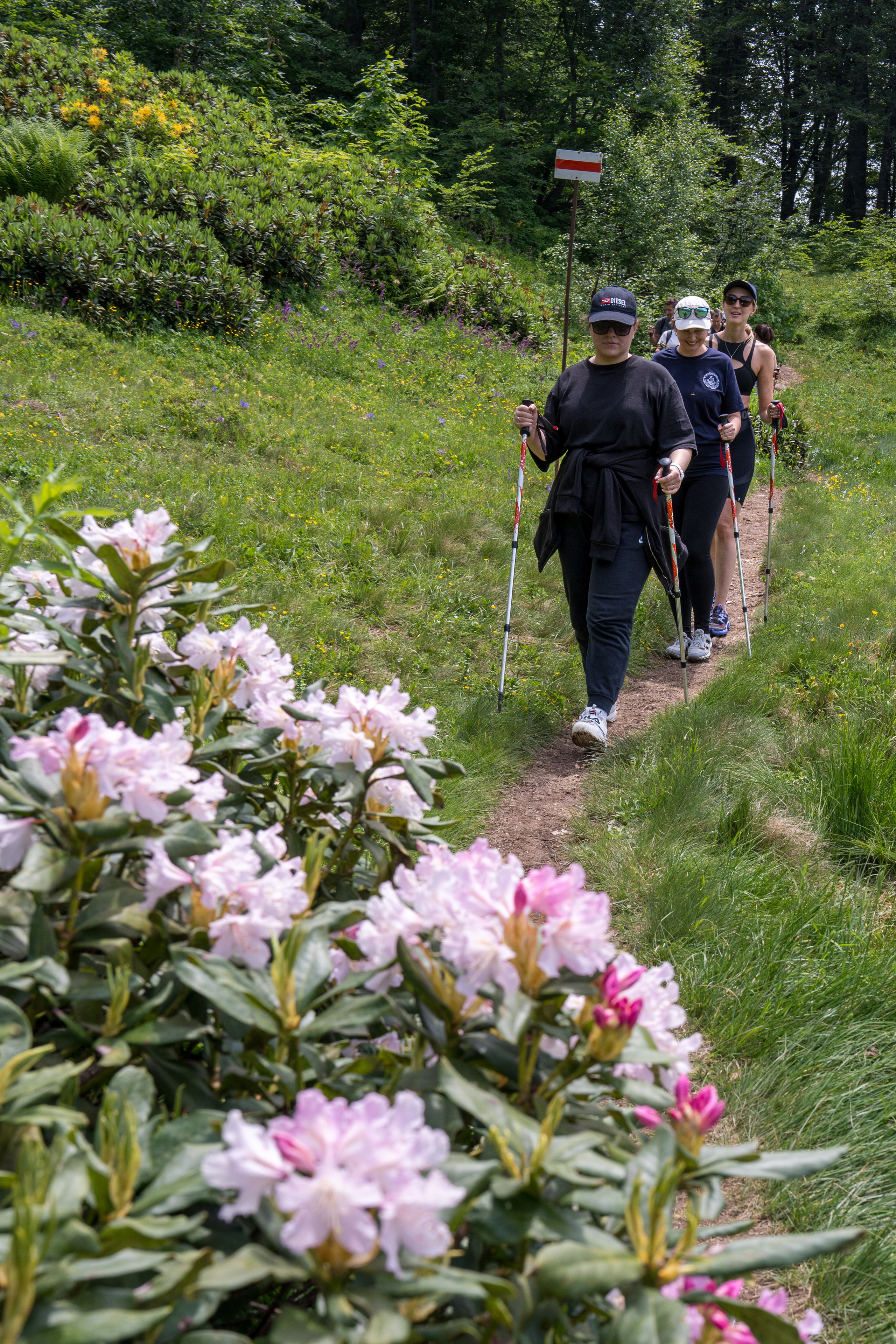 MICE мероприятие для компании «Доставка морем»: хайкинг к Ачипсинским водопадам. Репортажный фотограф в Красной Поляне и Сочи Павлюченко Екатерина