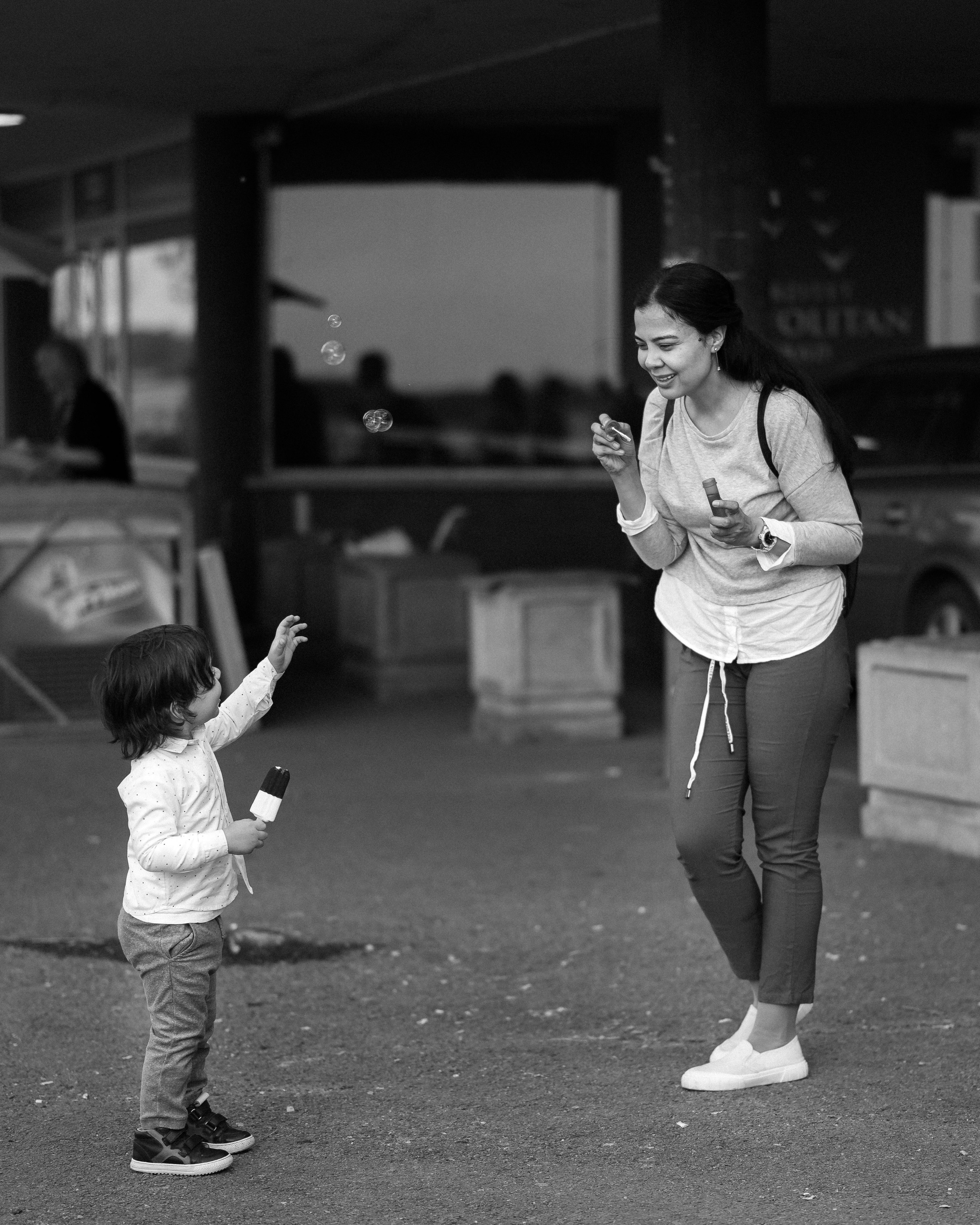 ЛЕБЕДИ НА ДУНАЕ. Фотограф в Белграде Чугреева Елена