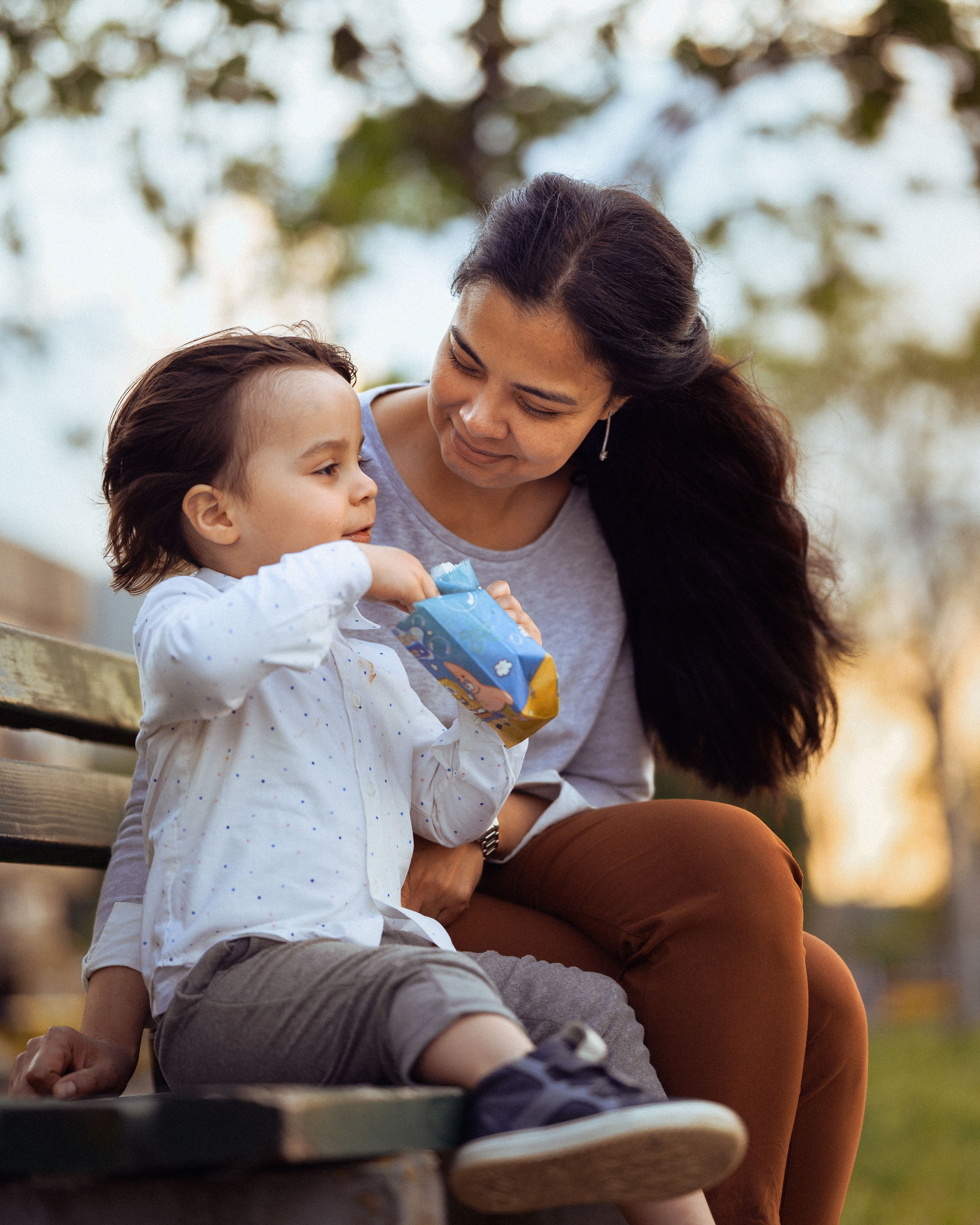 ЛЕБЕДИ НА ДУНАЕ. Фотограф в Белграде Чугреева Елена