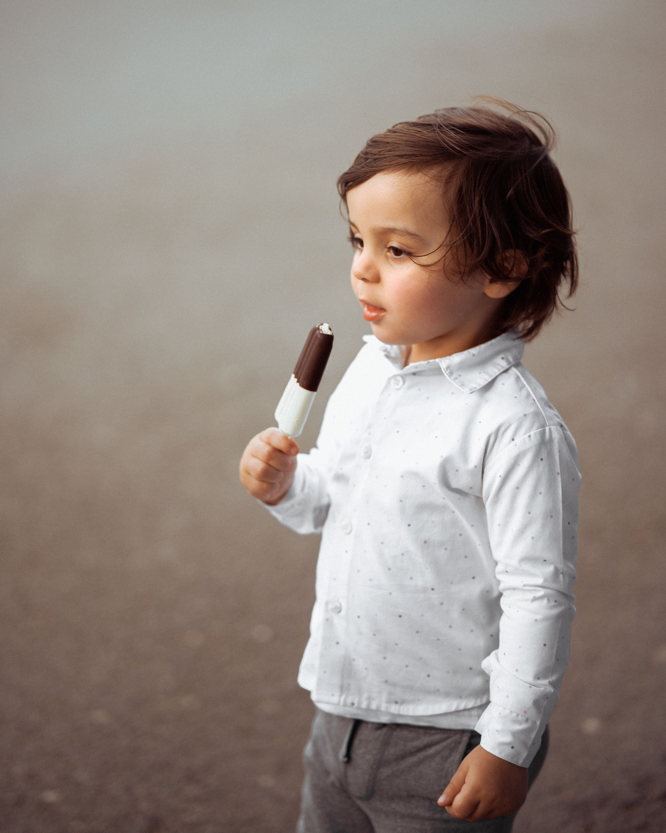 ЛЕБЕДИ НА ДУНАЕ. Фотограф в Белграде Чугреева Елена