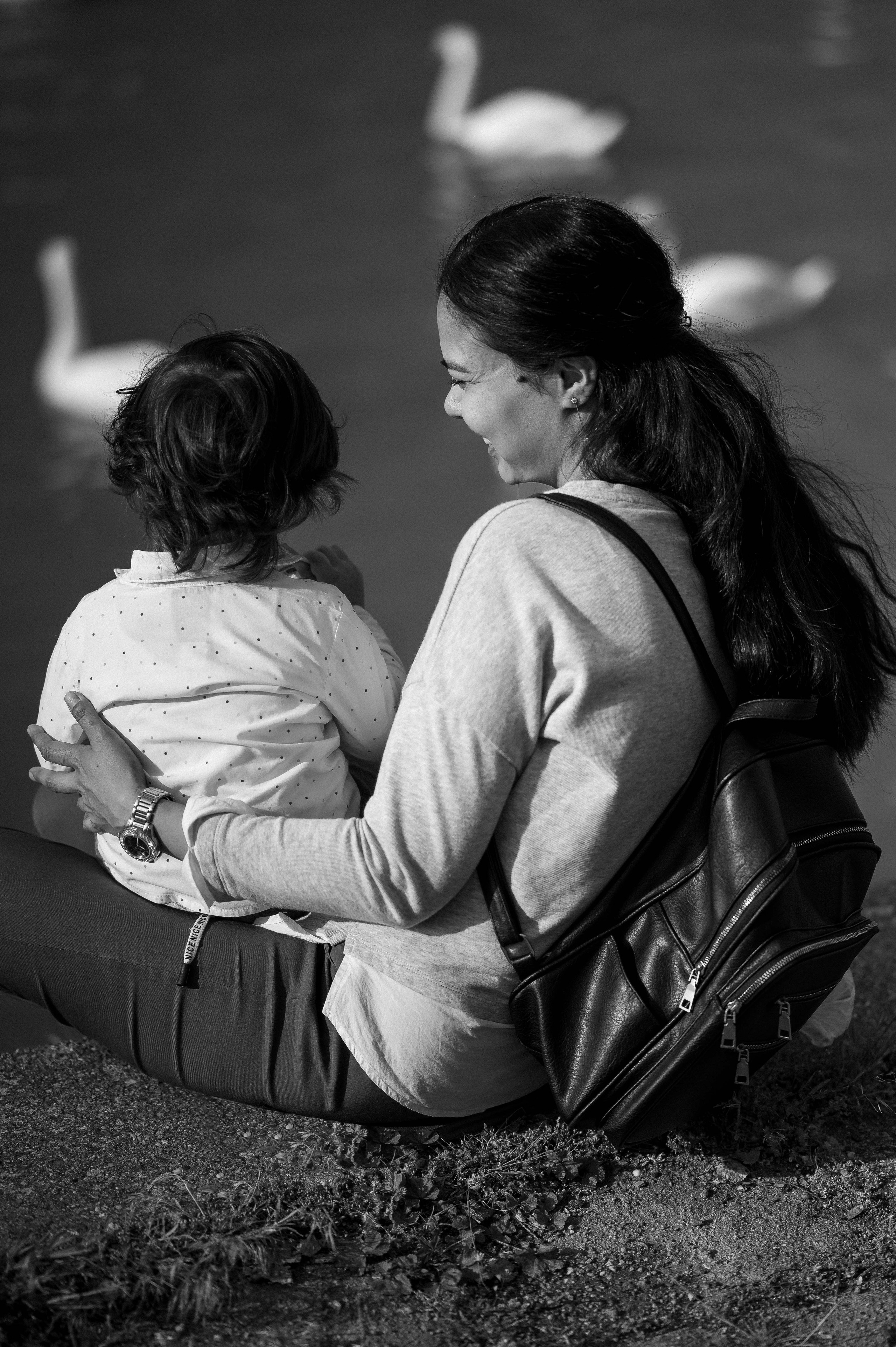 ЛЕБЕДИ НА ДУНАЕ. Фотограф в Белграде Чугреева Елена