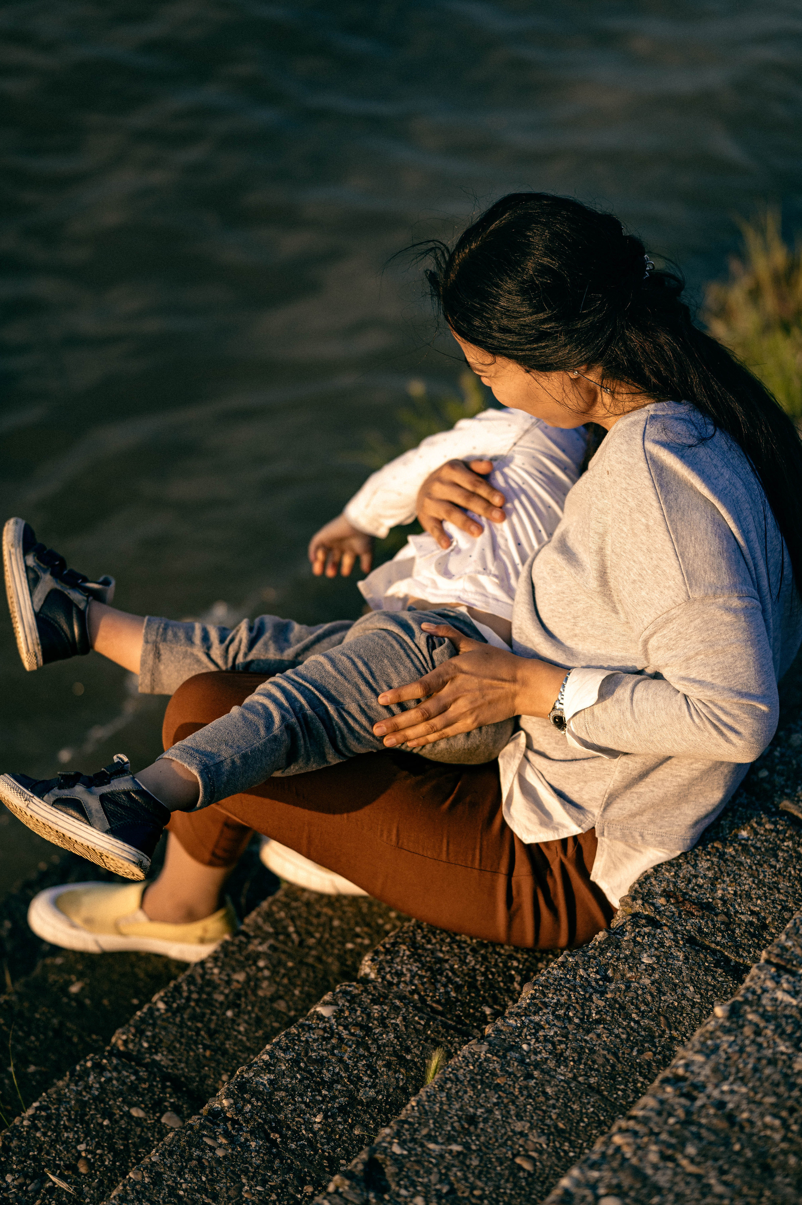 ЛЕБЕДИ НА ДУНАЕ. Фотограф в Белграде Чугреева Елена