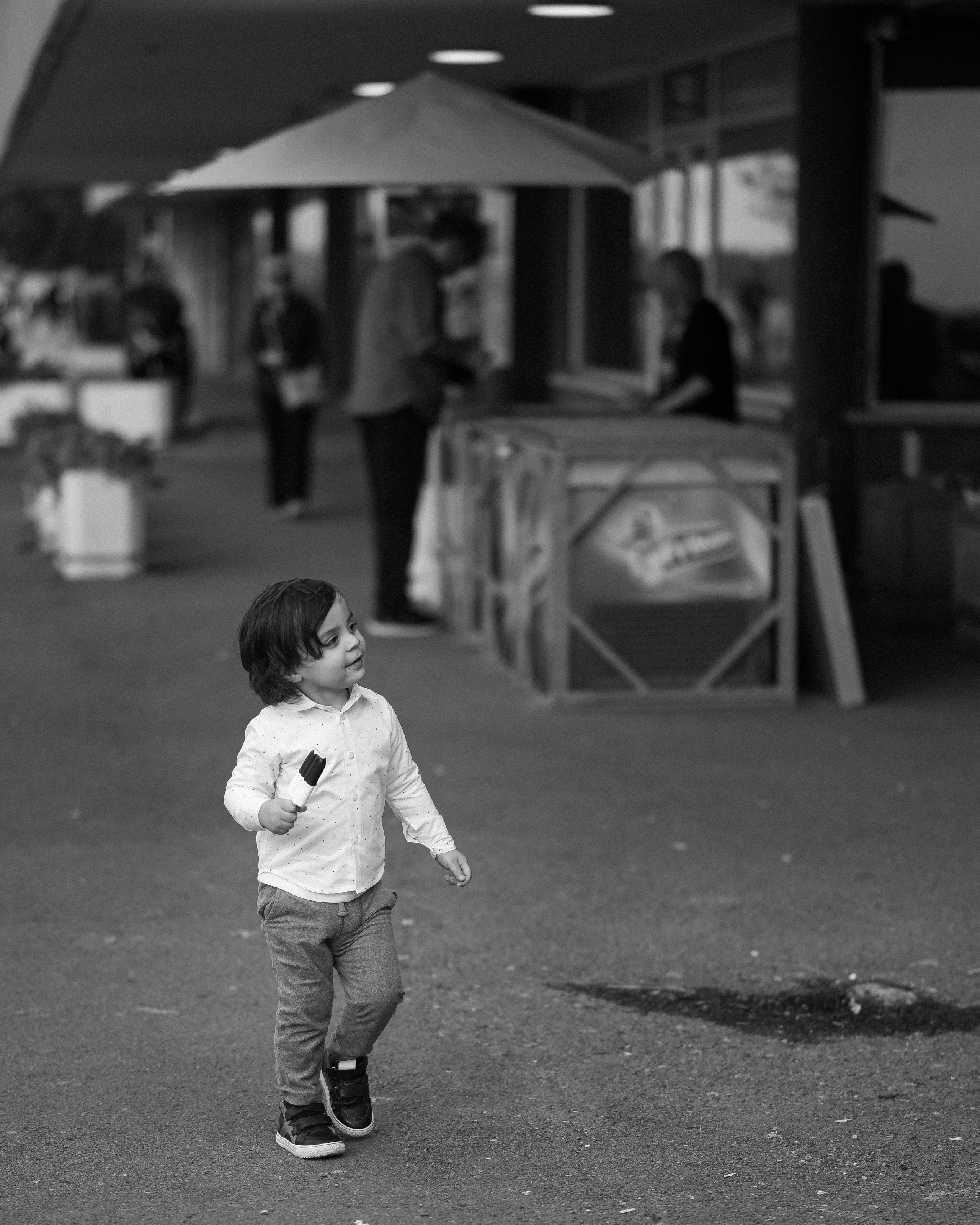 ЛЕБЕДИ НА ДУНАЕ. Фотограф в Белграде Чугреева Елена