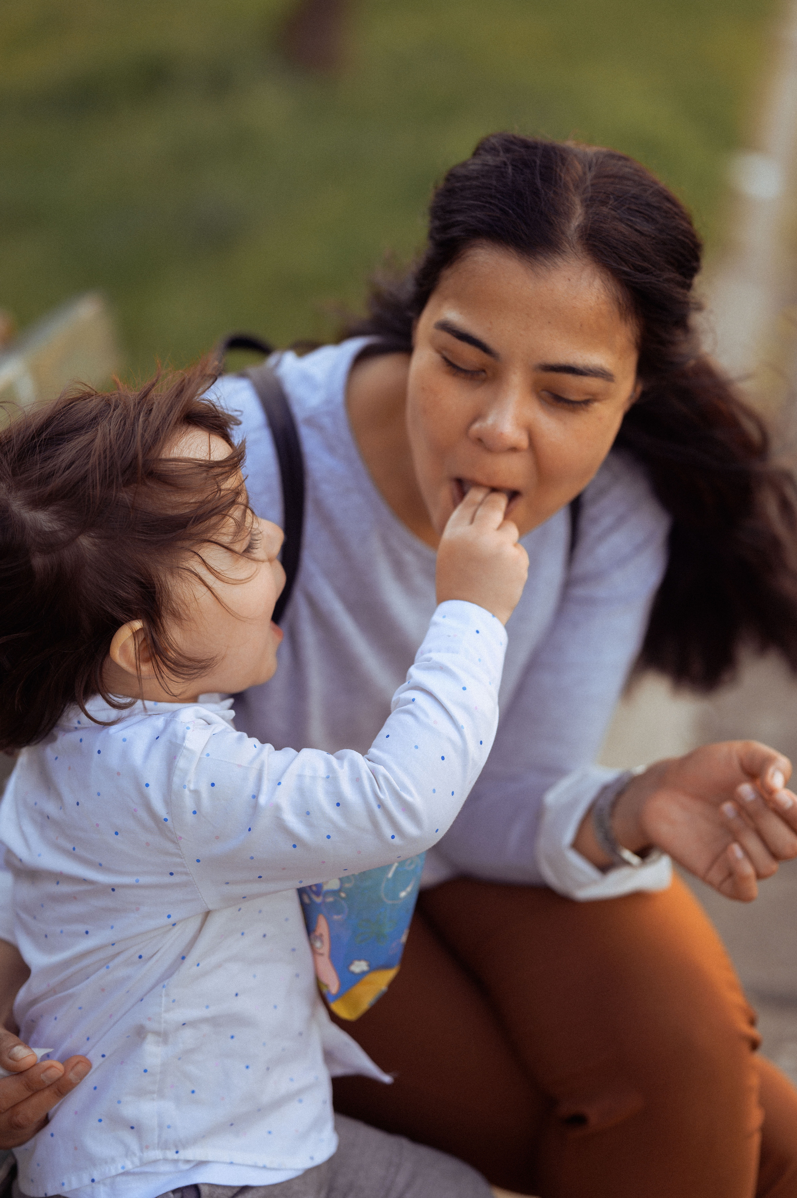 ЛЕБЕДИ НА ДУНАЕ. Фотограф в Белграде Чугреева Елена