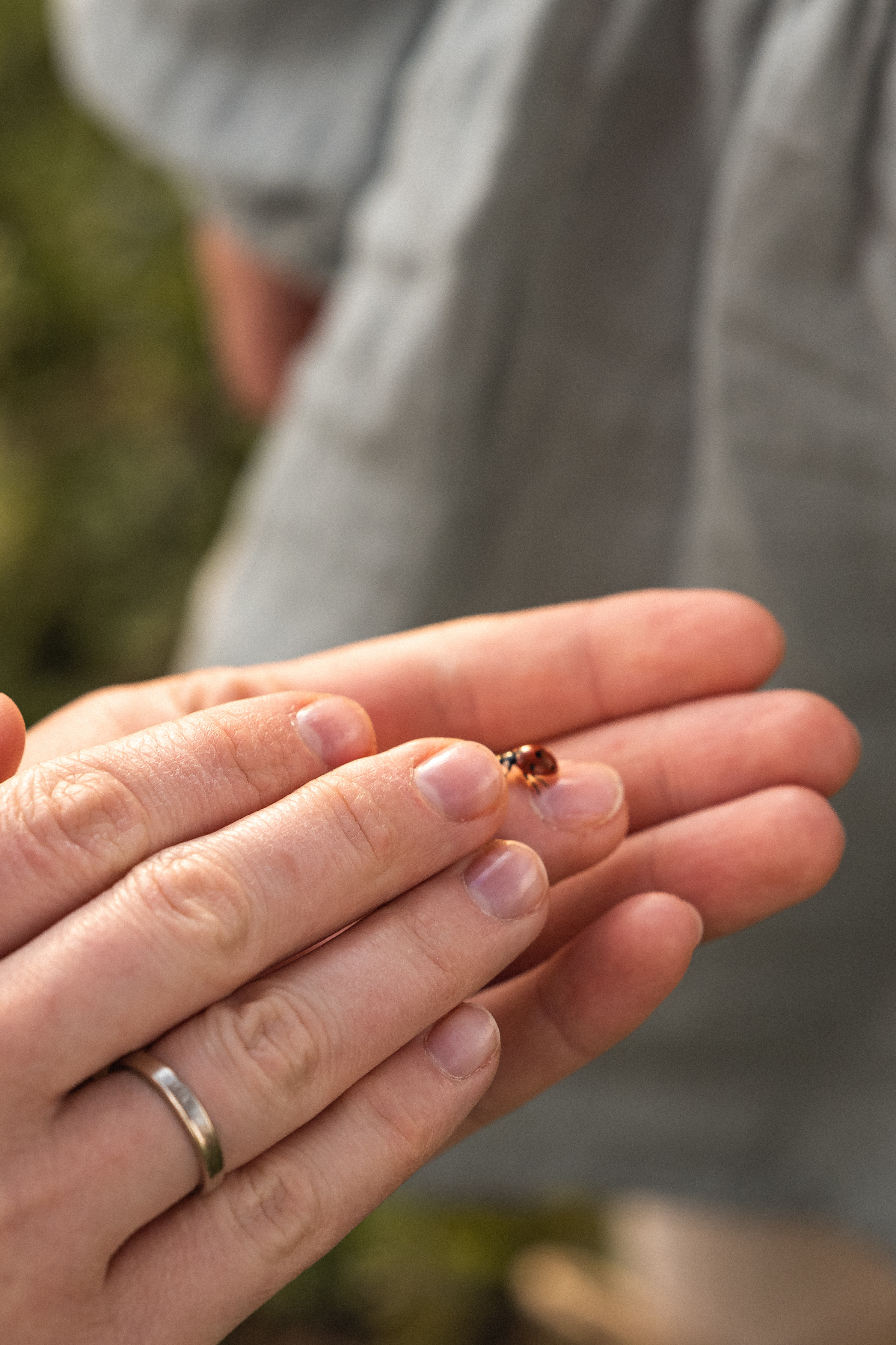 Семейная съемка в Белграде. Фотограф в Белграде Чугреева Елена