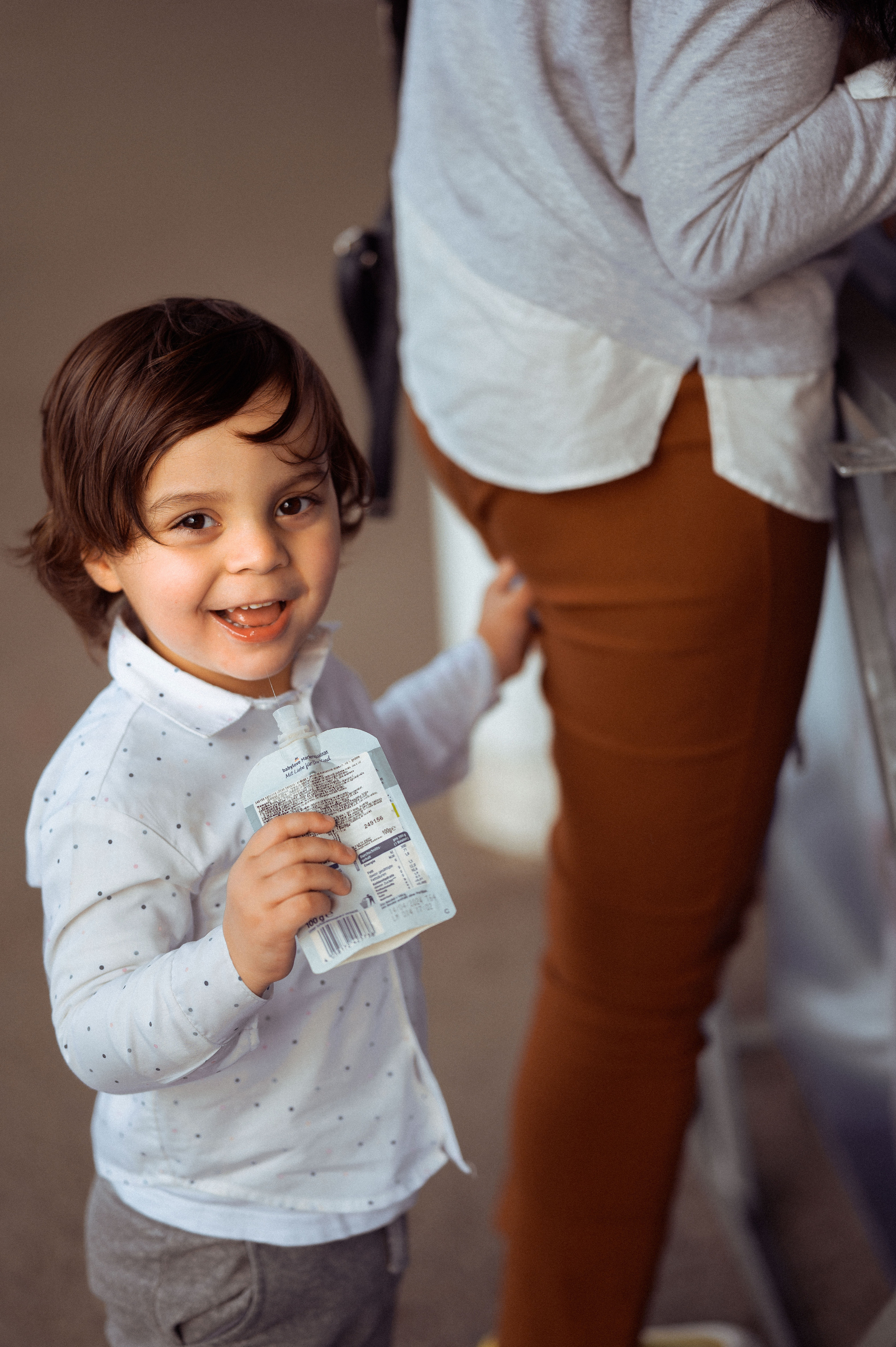 ЛЕБЕДИ НА ДУНАЕ. Фотограф в Белграде Чугреева Елена