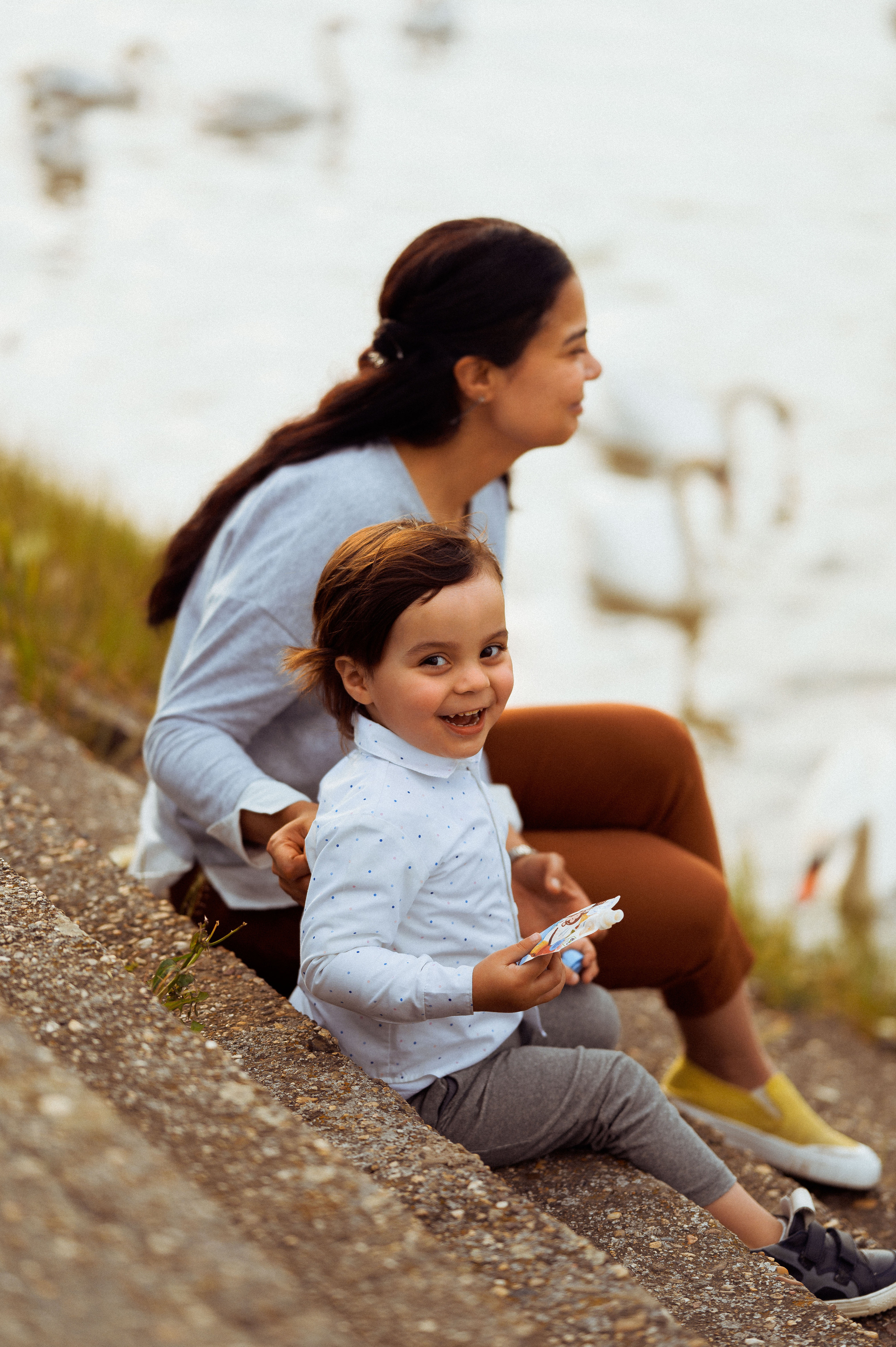 ЛЕБЕДИ НА ДУНАЕ. Фотограф в Белграде Чугреева Елена